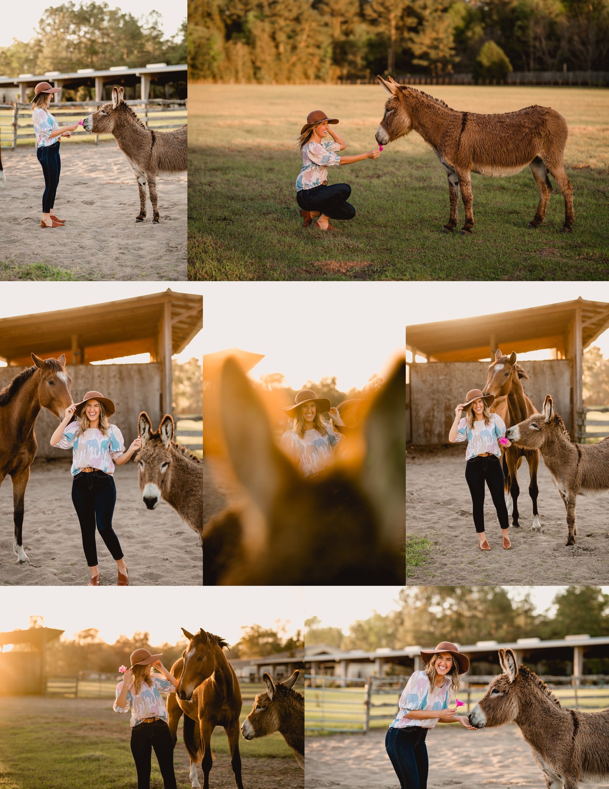 Cute photos of girl with donkey and yearling warmblood at Magnolia Farms, dressage barn in North Florida.