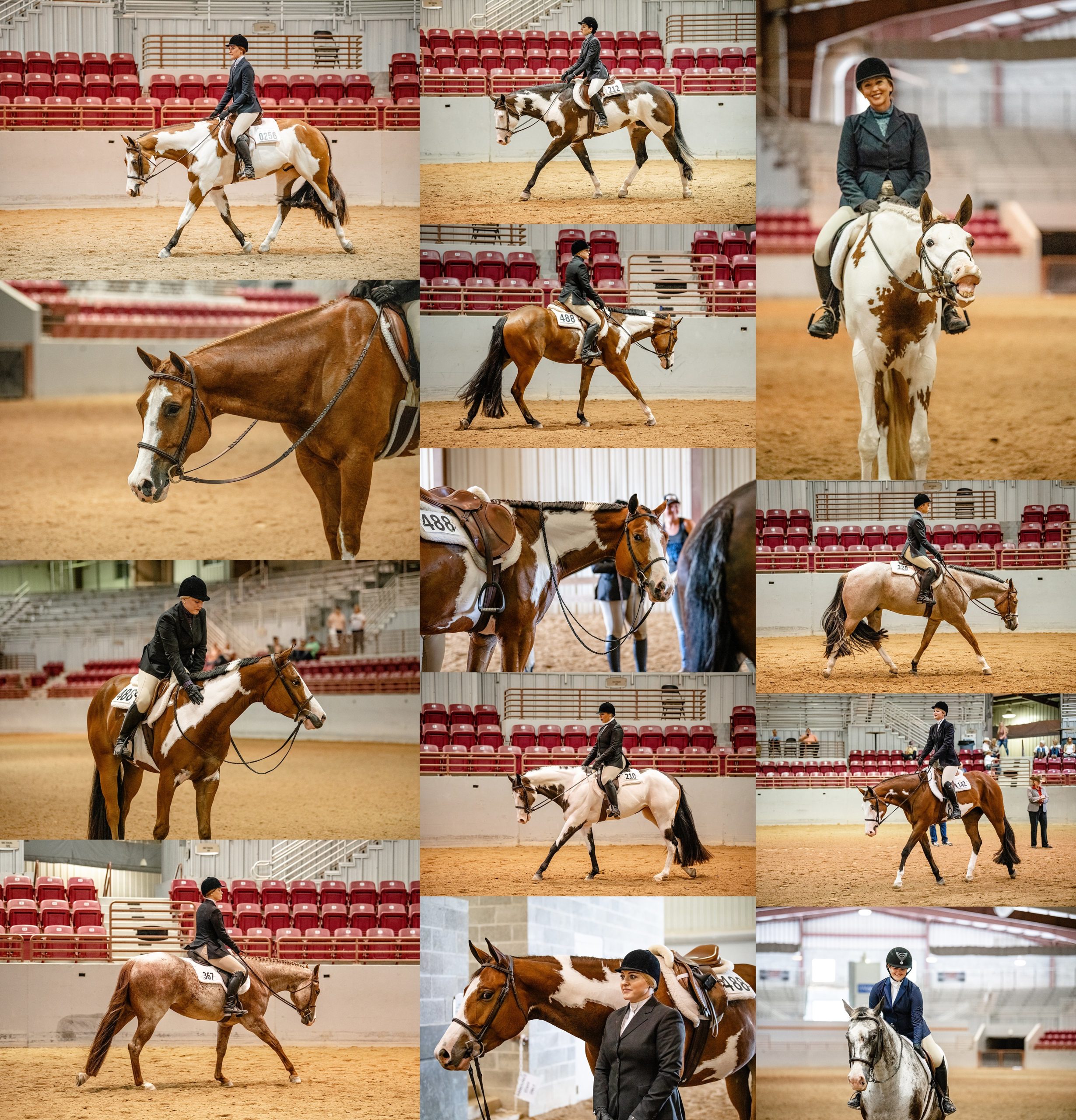 English and western colored horse breed show in Florida, Orange Bowl Color Classic.