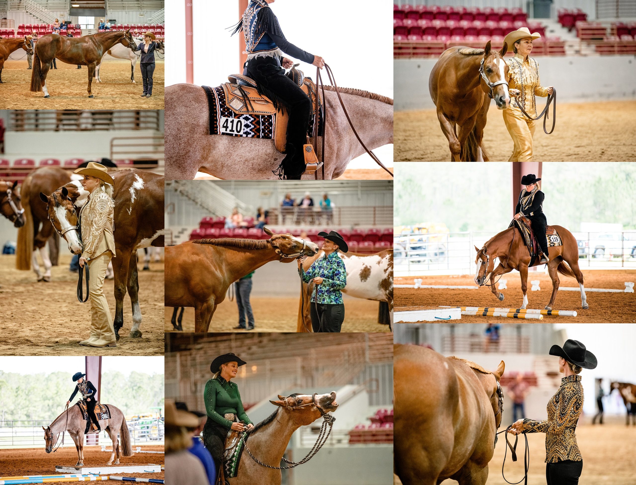 Showmanship, halter, and trail classes at APHA breed show in Florida.