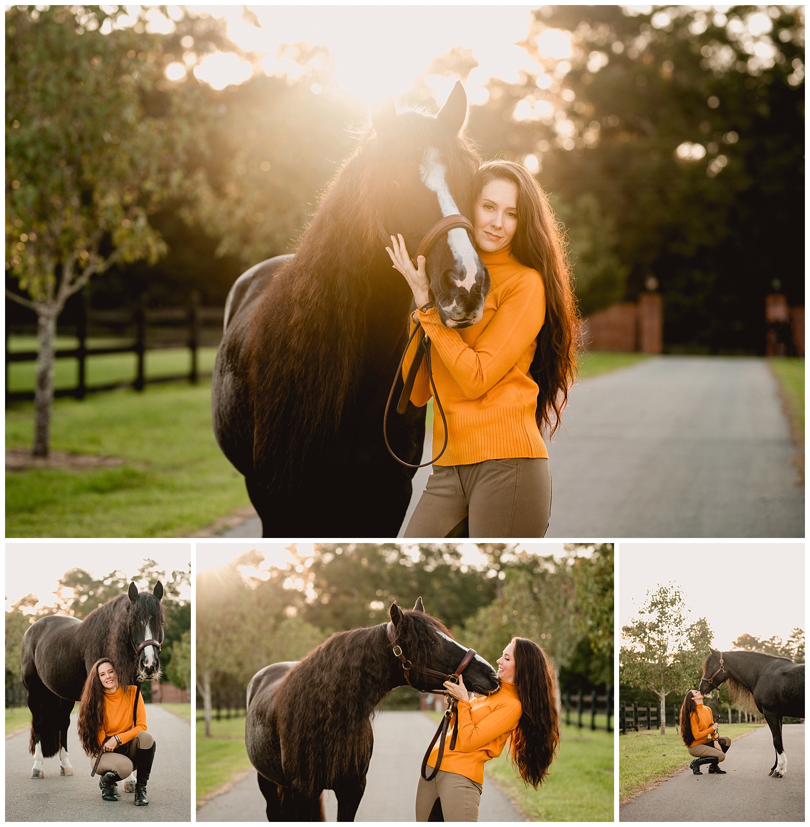 Beautiful golden hour near Tallahassee, FL. Woman and her black dressage horse take photos together.