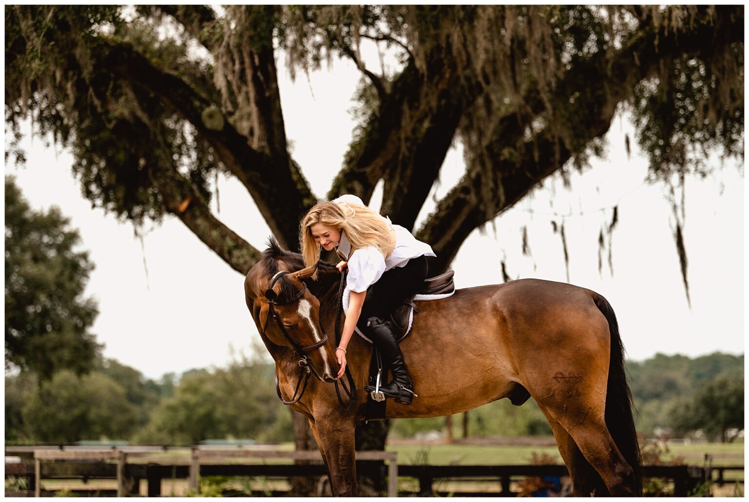 Ocala photoshoot with Horse and Rider. Under saddle photos of hunter/jumper and equitation horse. Equestrian styled outfit with blouse from Odette Boutique.