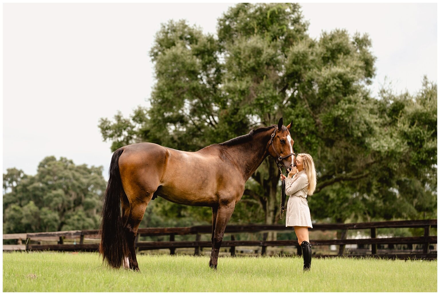 Ocala photoshoot with Horse and Rider. Equestrian styled outfit with dress from Odette Boutique, paired with tall boots.