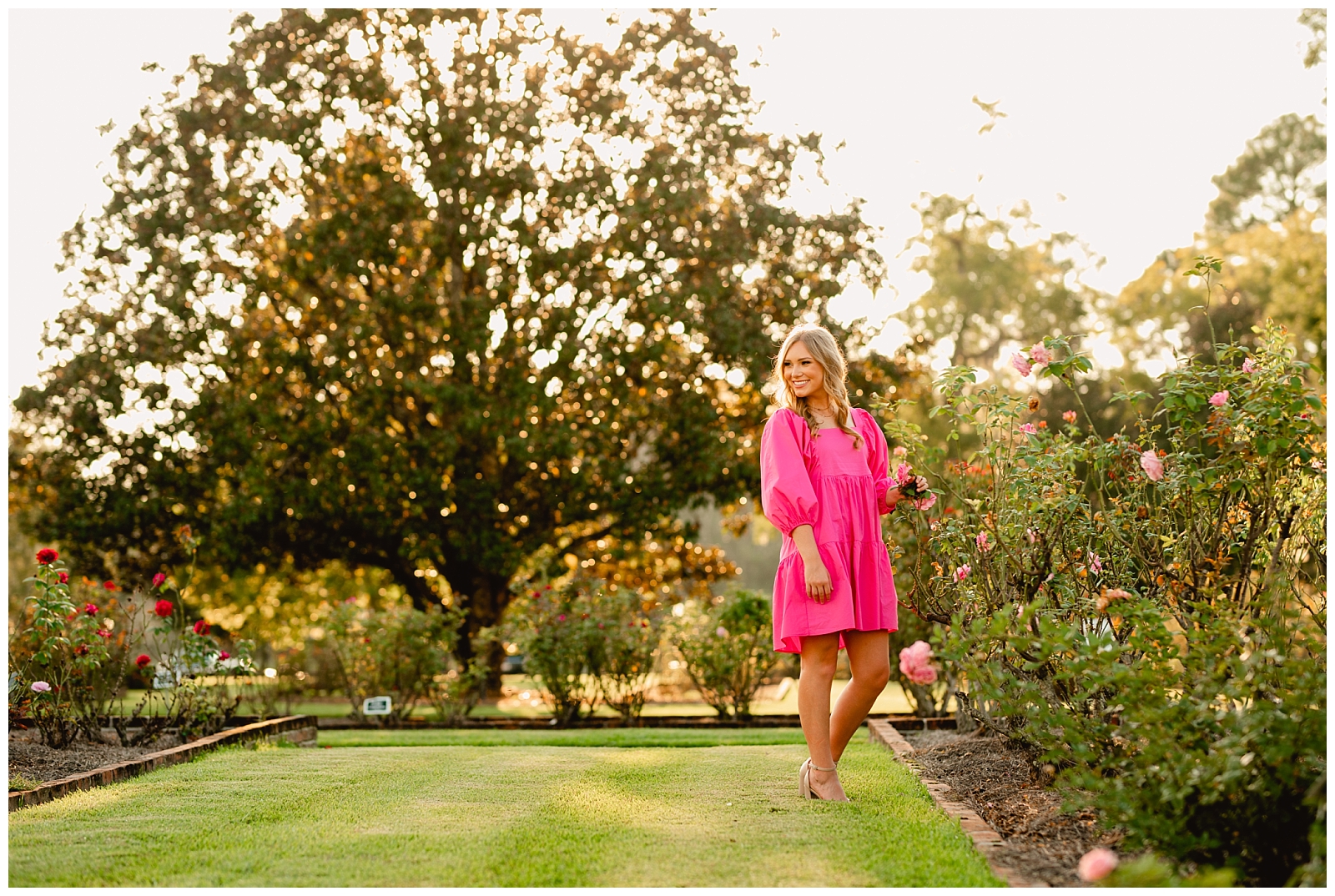 Senior Pictures in Thomasville, Georgia at the Rose Garden during sunset with hot pink dress.