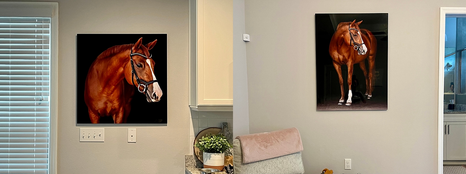 Custom art for equestrians, gorgeous metal fine art prints to hang in home.