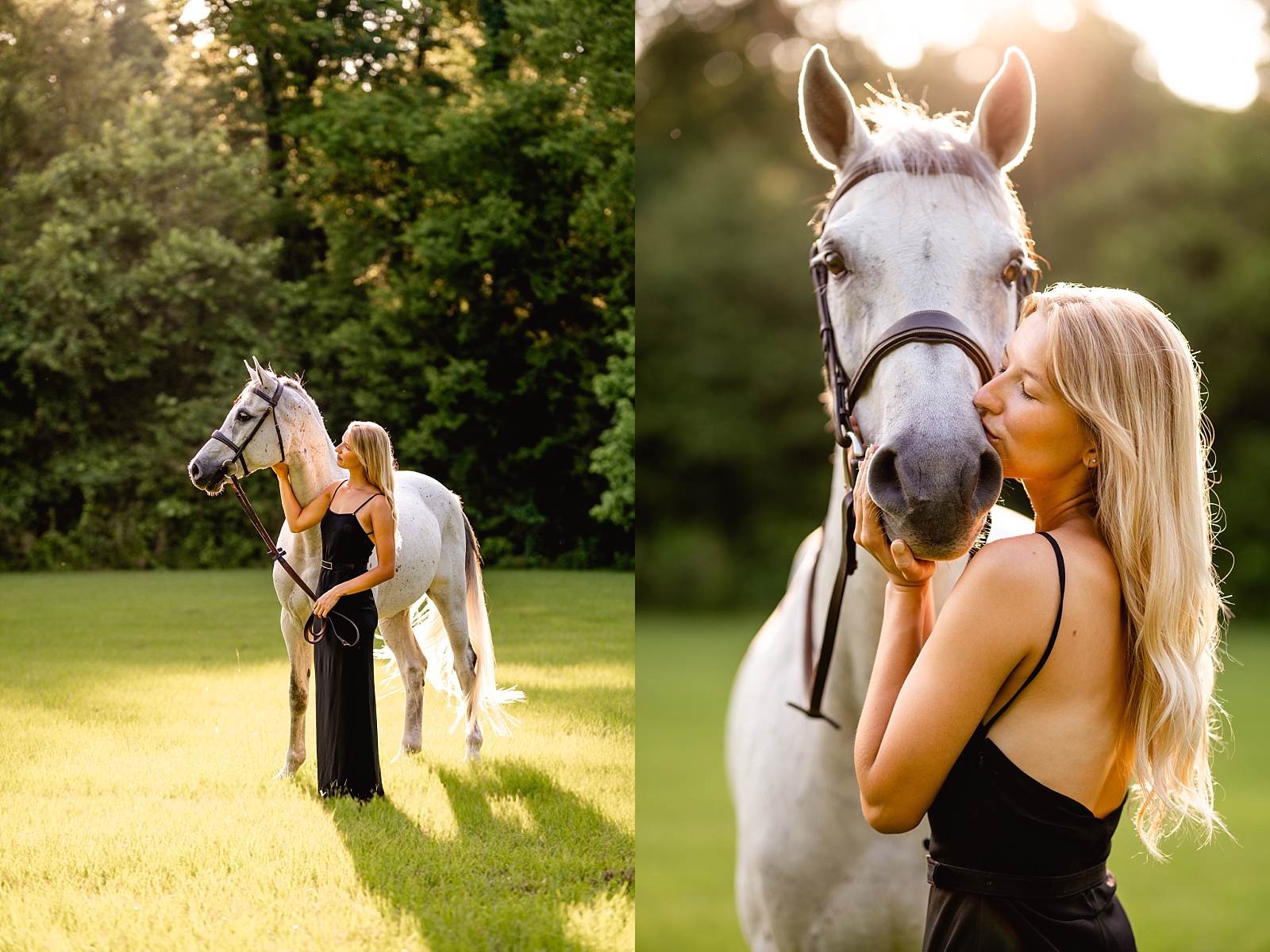 Golden hour horse and rider photoshoot in Birmingham, Alabama. Professional equine photographer.