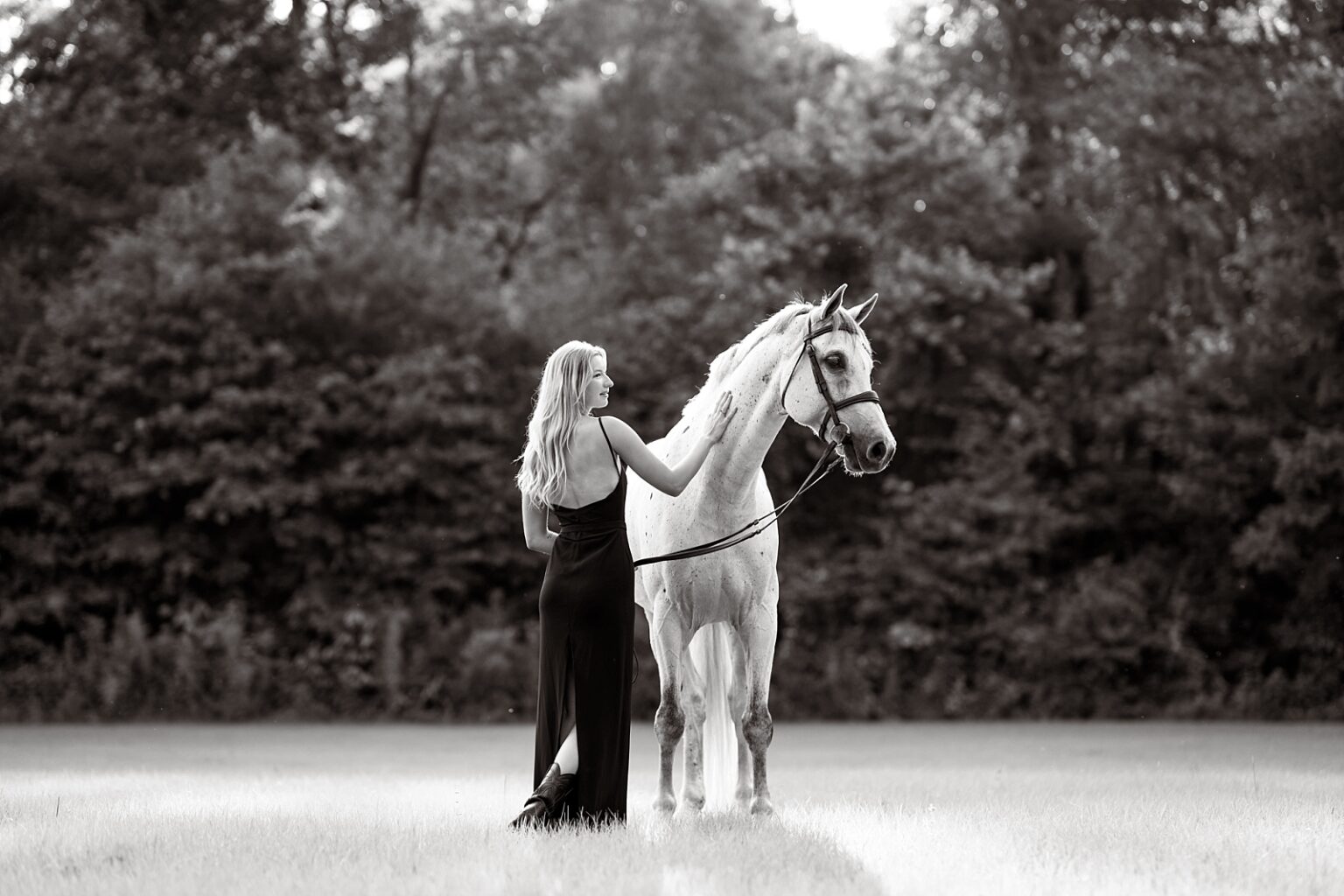 High end fashion photography of blonde with her grey horse at sunset near Birmingham, Alabama.
