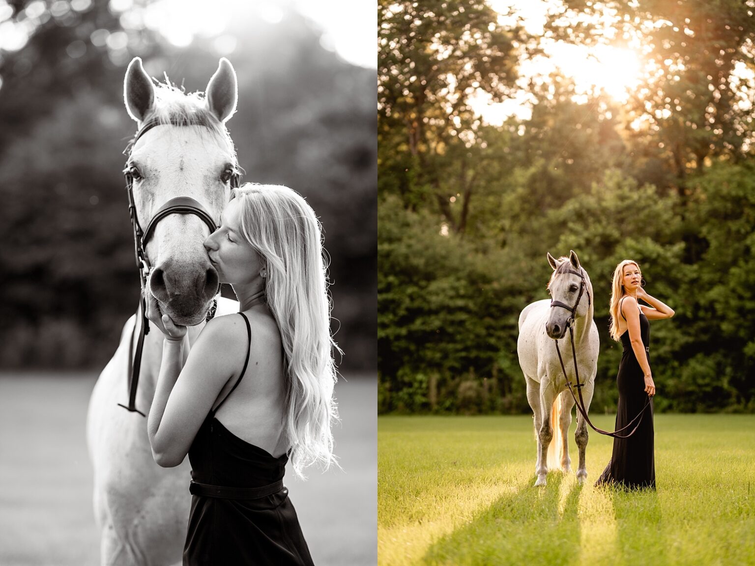 Golden hour horse and rider photoshoot in Birmingham, Alabama. Professional equine photographer.