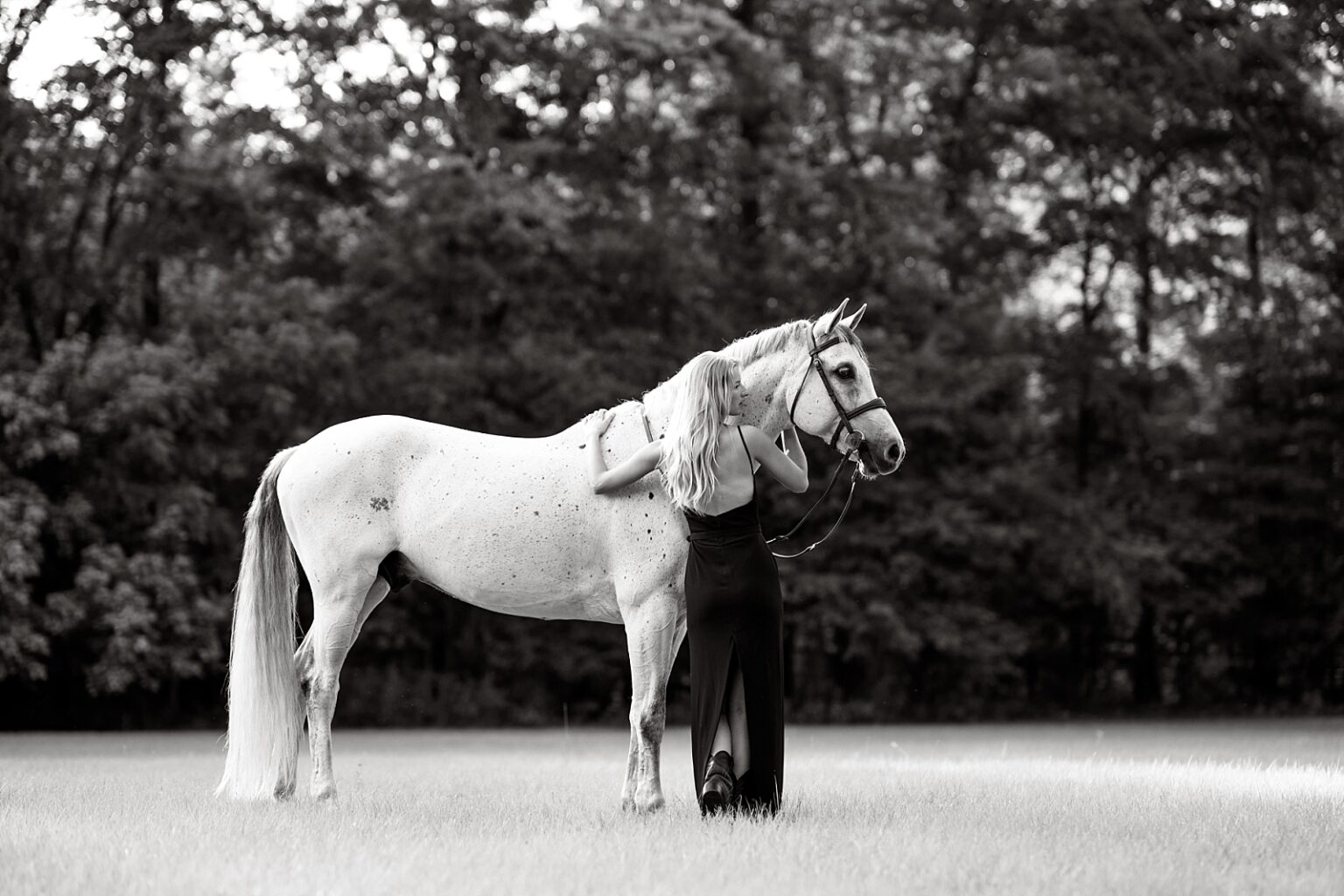 High end fashion photography of blonde with her grey horse at sunset near Birmingham, Alabama.