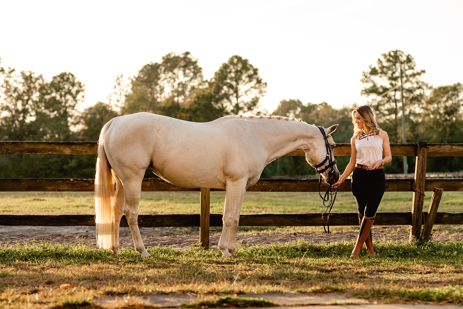 Equine photographer near Jacksonville FL takes photos of grey dressage horse with rider at sunset.