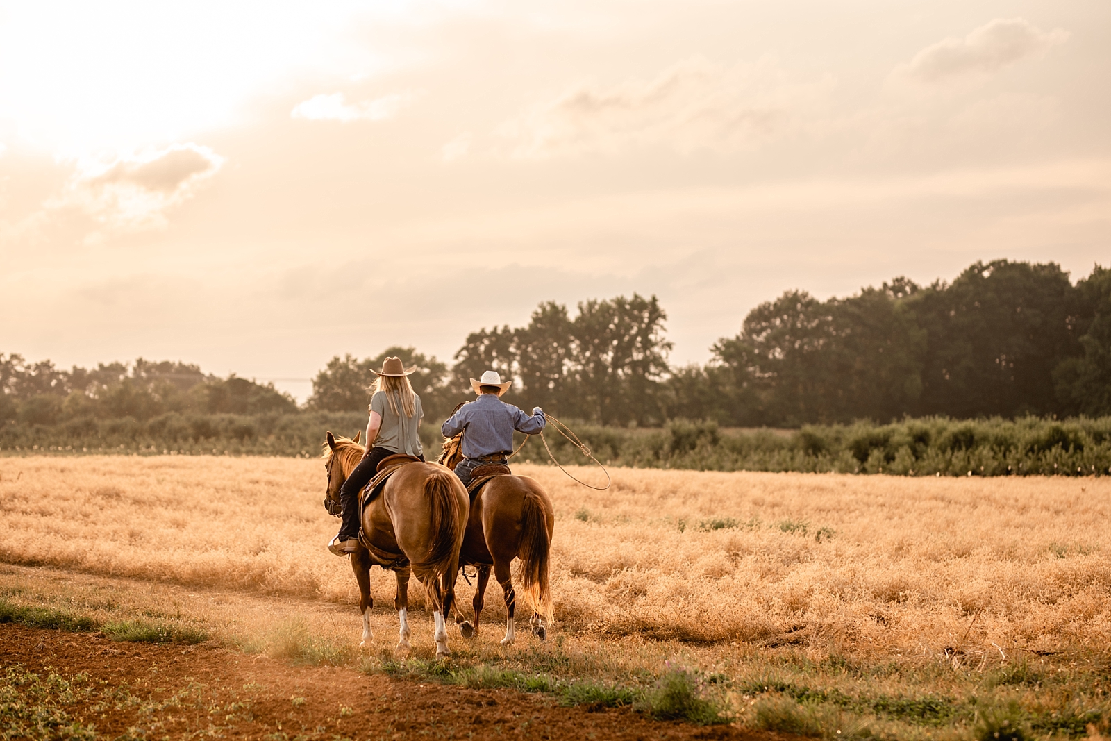 Western couple takes pictures with their roping horses at sunset in a field. Couples posing ideas for cowgirl and cowboy.