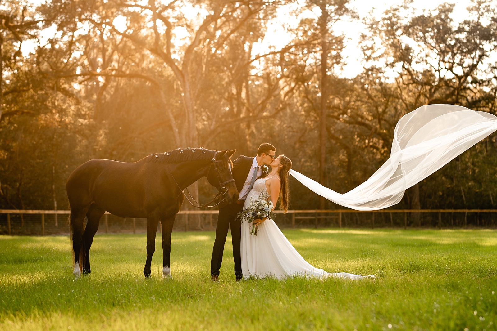 Horse photographer for weddings takes pictures of bride and groom at sunset with veil flowing in the wind and horse. Equestrian Wedding.