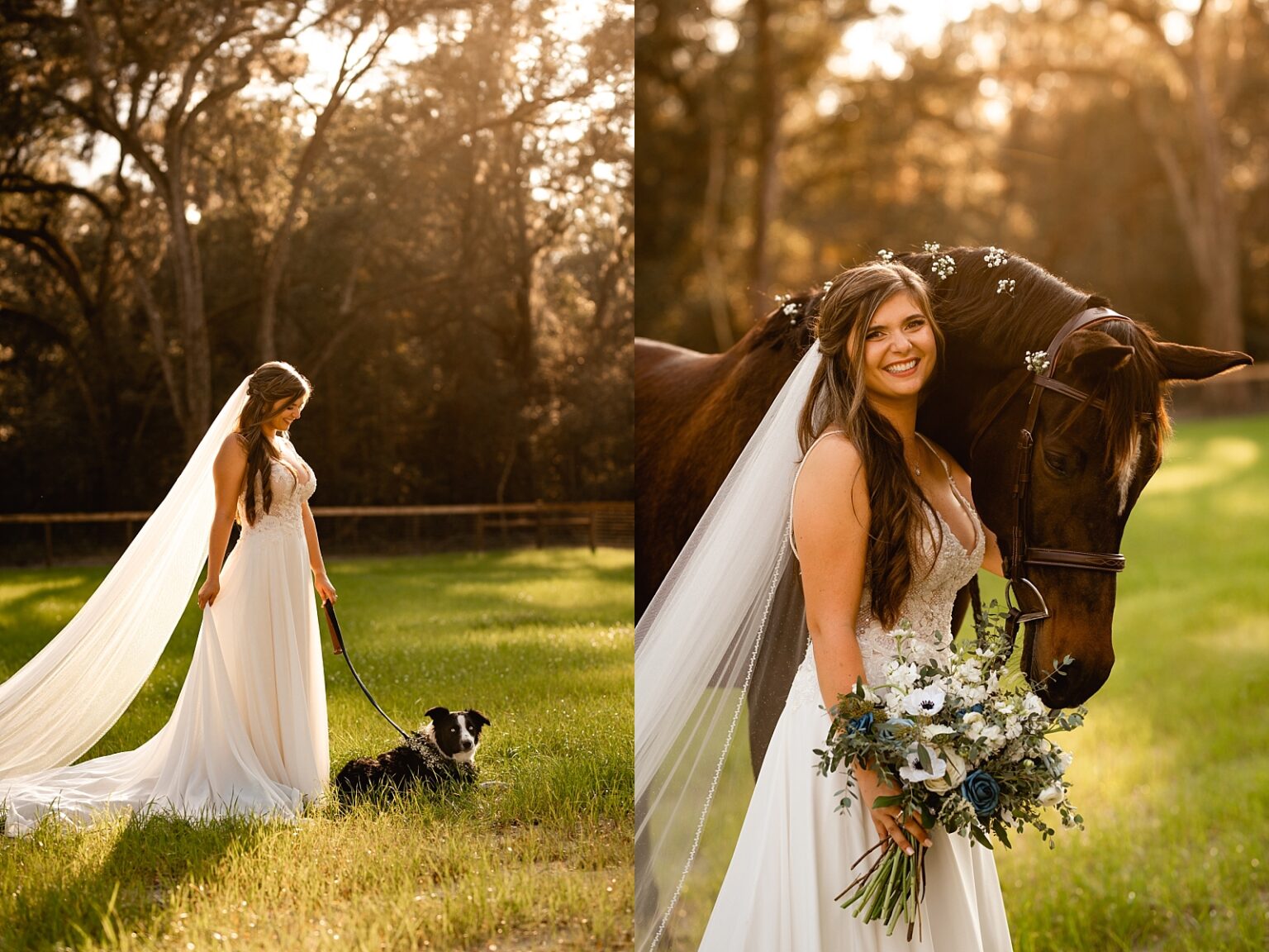 Equestrian wedding takes pictures with her horse in her wedding dress with her new husband during golden hour. Horse Photographer for Weddings.