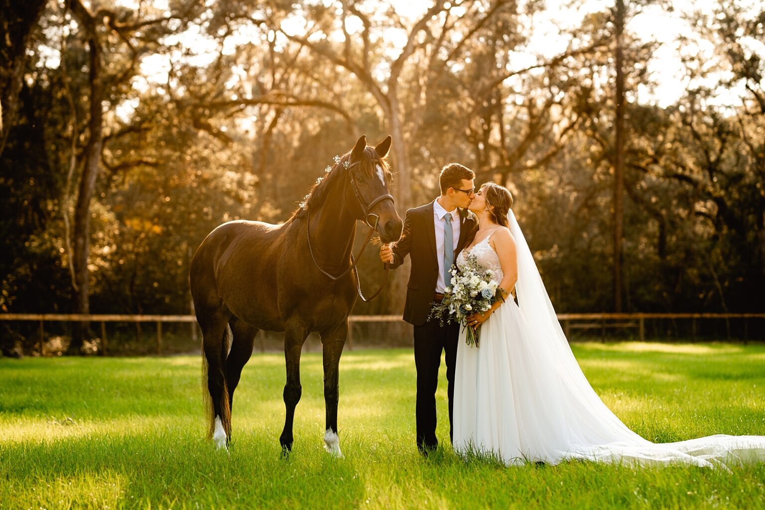 Wedding ideas with horses. Babys breath in horses mane. Bride and groom take photos with horse during sunset.