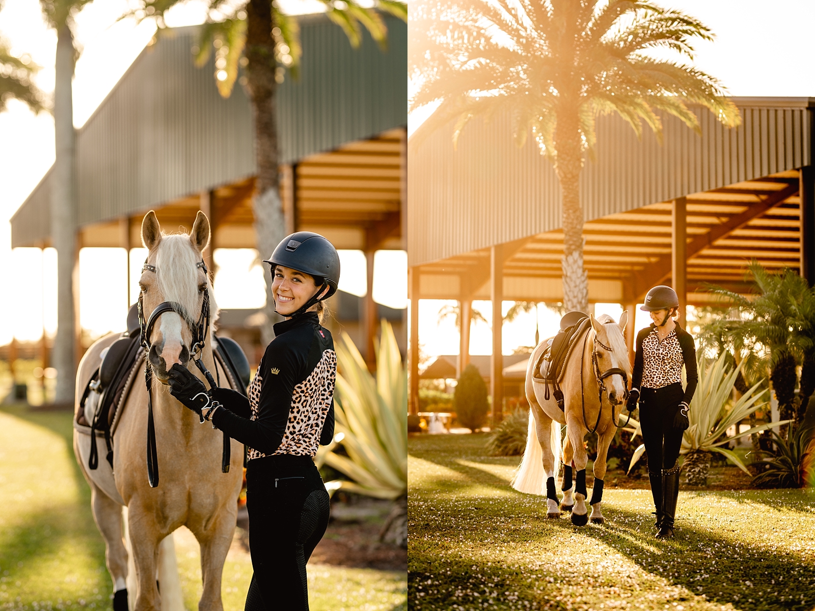 Horse and rider photoshoot during the warm Florida sunset in Wellington, Florida. Rider wearing cute cheetah print blouse modeling with her palomino German Riding Pony.