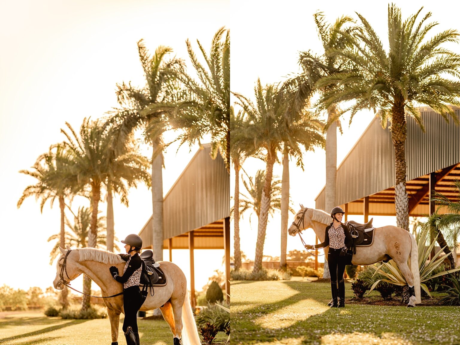 Horse and rider photoshoot during the warm Florida sunset in Wellington, Florida. Rider wearing cute cheetah print blouse modeling with her palomino German Riding Pony.