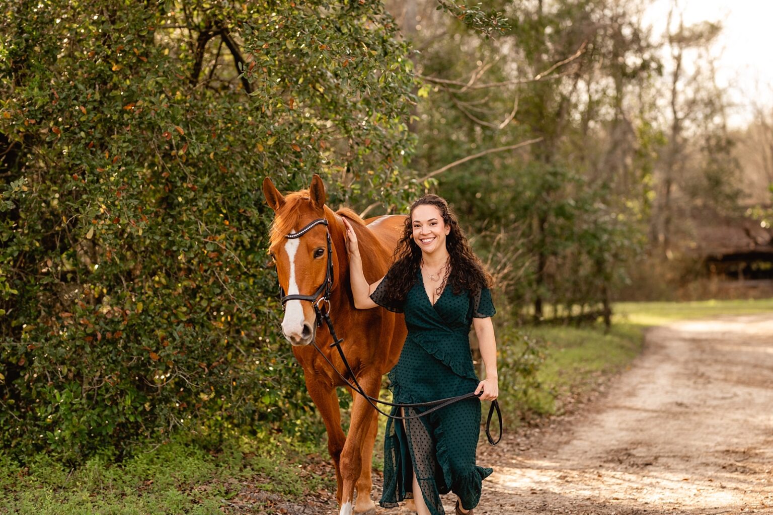 Dressage photographer in North Florida. Spoon Blue Stables in Tallahassee, FL. Chestnut warmblood cross mare.