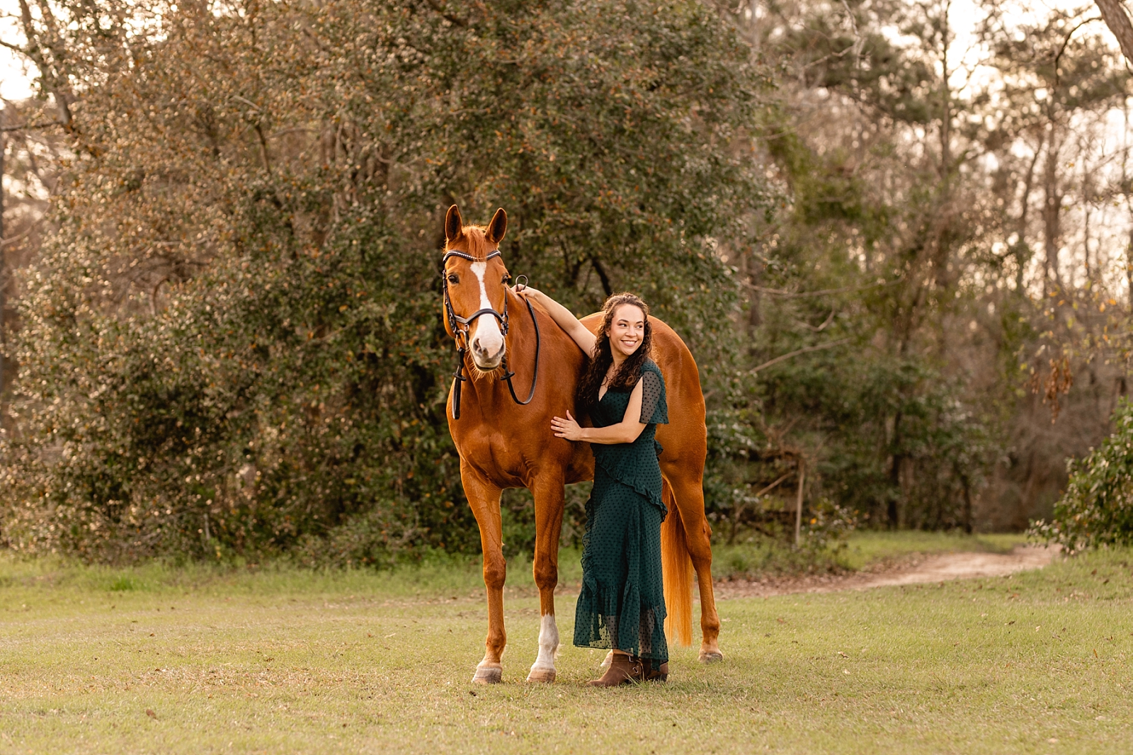 Dressage photographer in North Florida. Spoon Blue Stables in Tallahassee, FL. Chestnut warmblood cross mare.