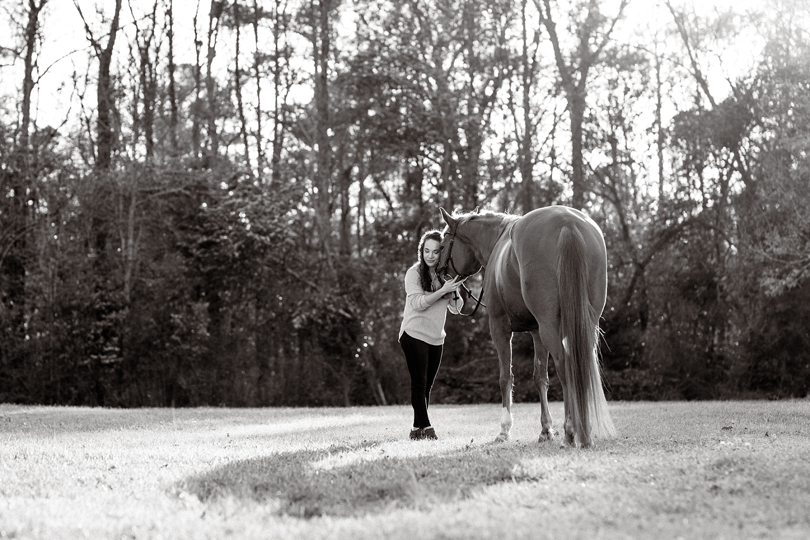 Dressage photographer in North Florida. Spoon Blue Stables in Tallahassee, FL. Chestnut warmblood cross mare. Simple outfit ideas for photos with your horse.
