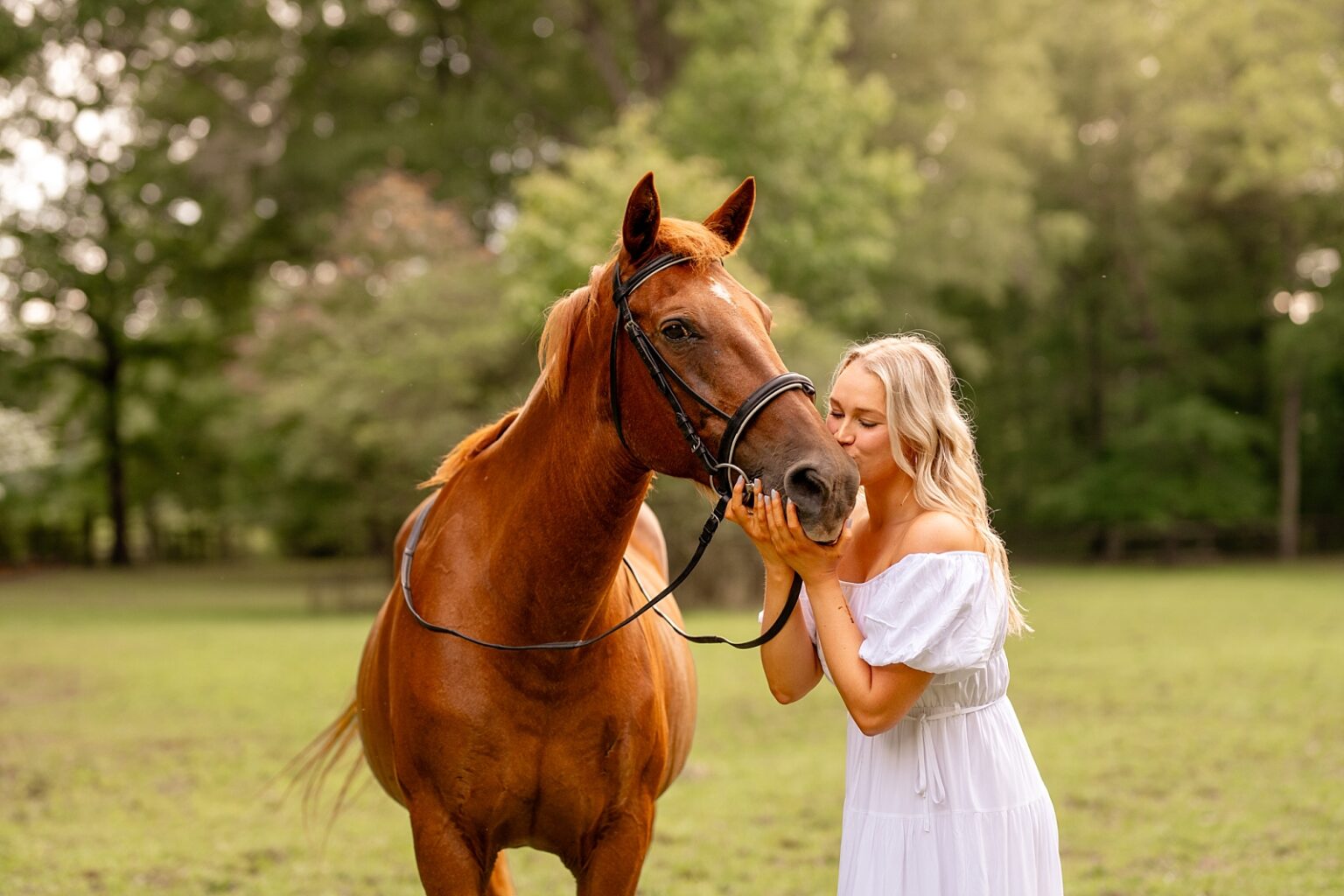 Horse photographer near Birmingham Alabama takes photos of chestnut mare and girl in white dress.