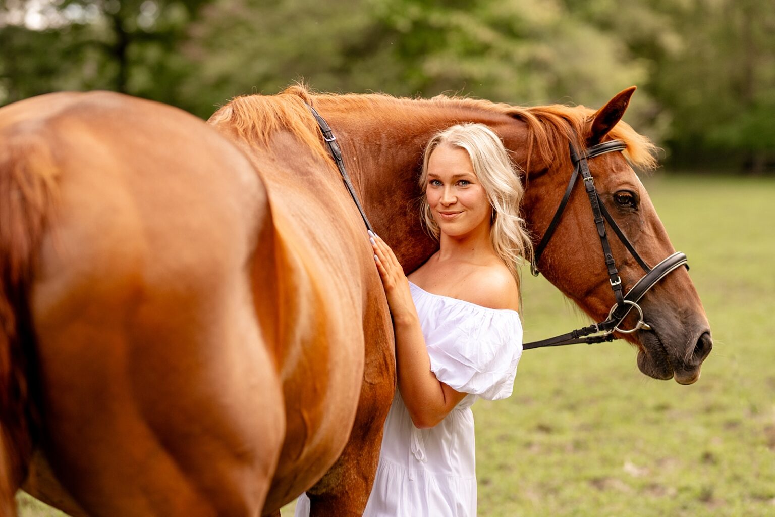 Horse photographer near Birmingham Alabama takes photos of chestnut mare and girl in white dress.