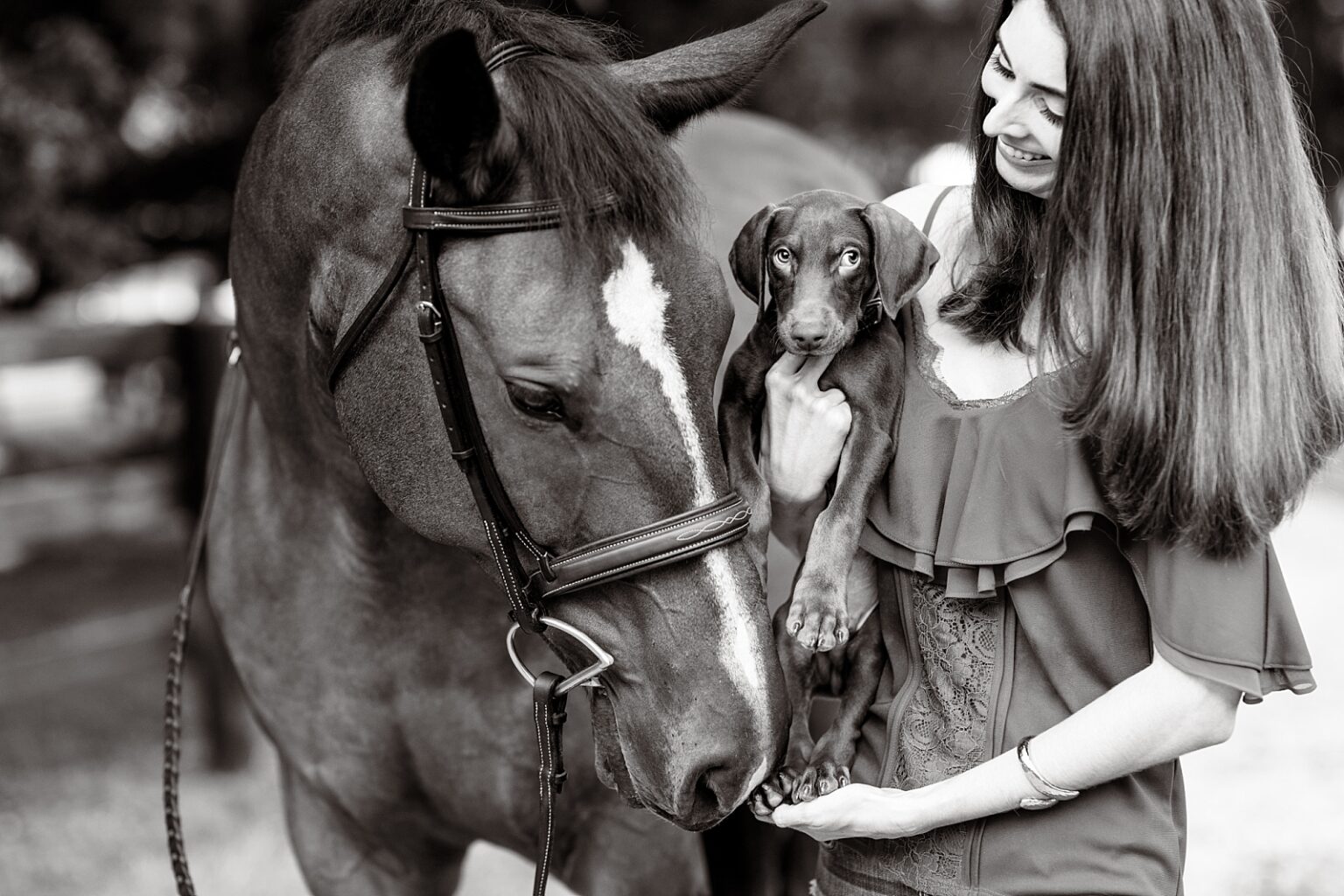 Horse and rider photoshoot with puppy in Tallahassee with casual outfit with red top and jeans. What to wear for equestrian photoshoot.