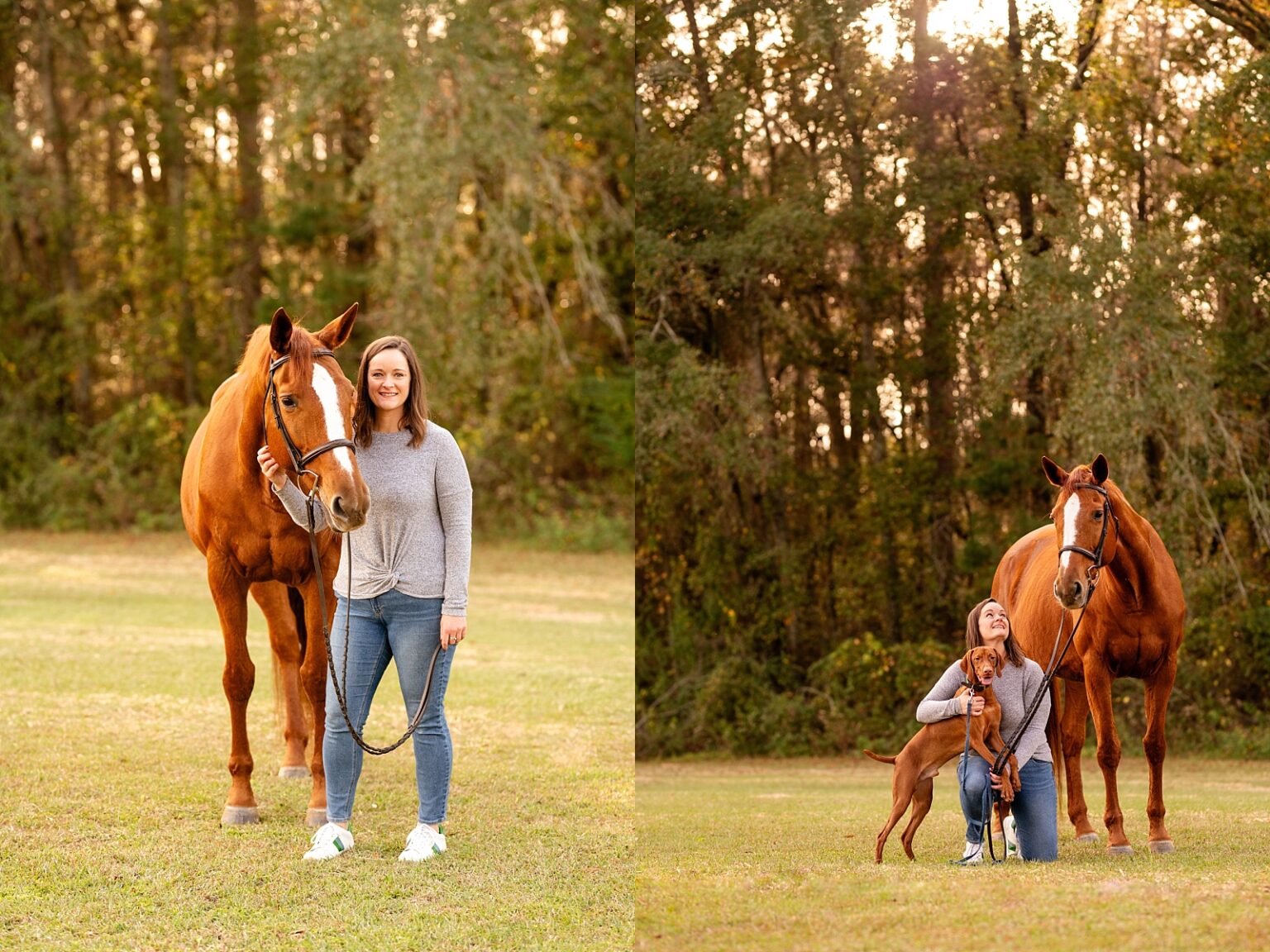 Horse and rider portrait photographer in Florida and the southeast. Photos with your horse and dog. Posing ideas for photos with dog and horse.