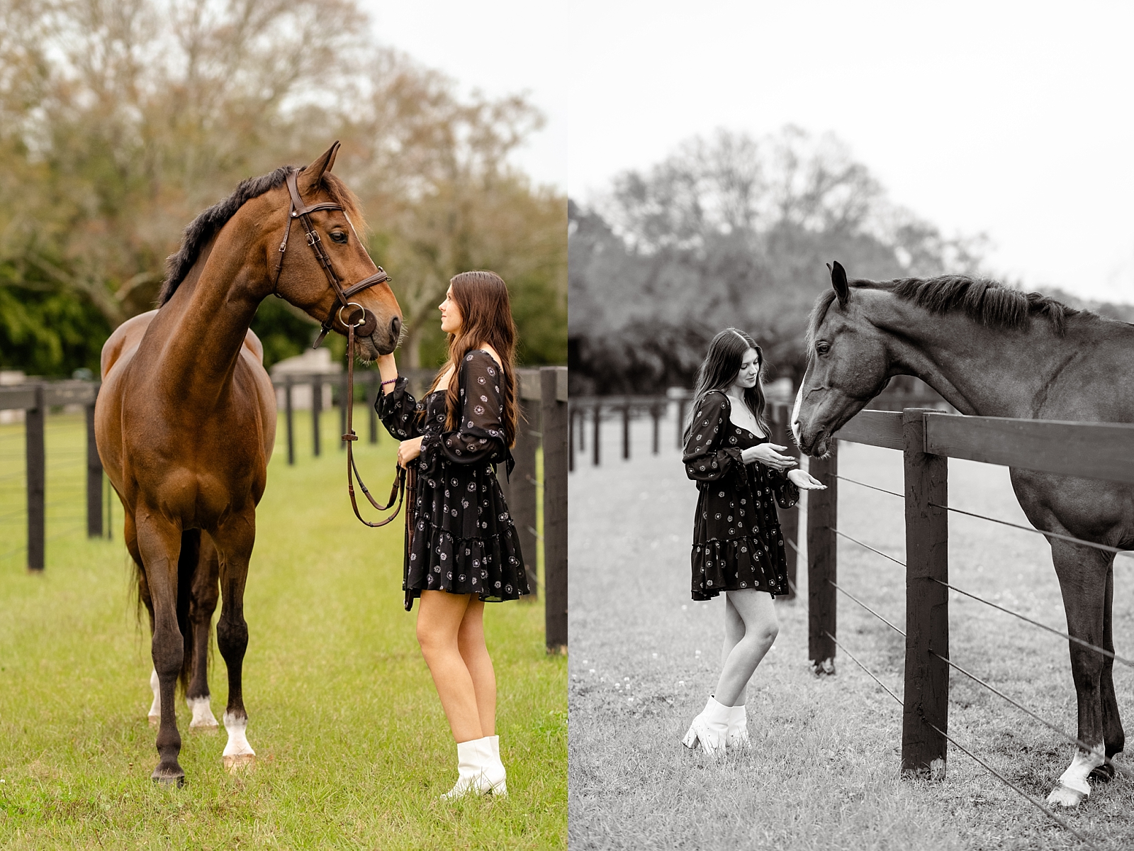 Senior pictures with horses. Ocala equestrian photography. Horse and rider. Jumper horse. Girl with her horse. Horse and rider posing ideas.