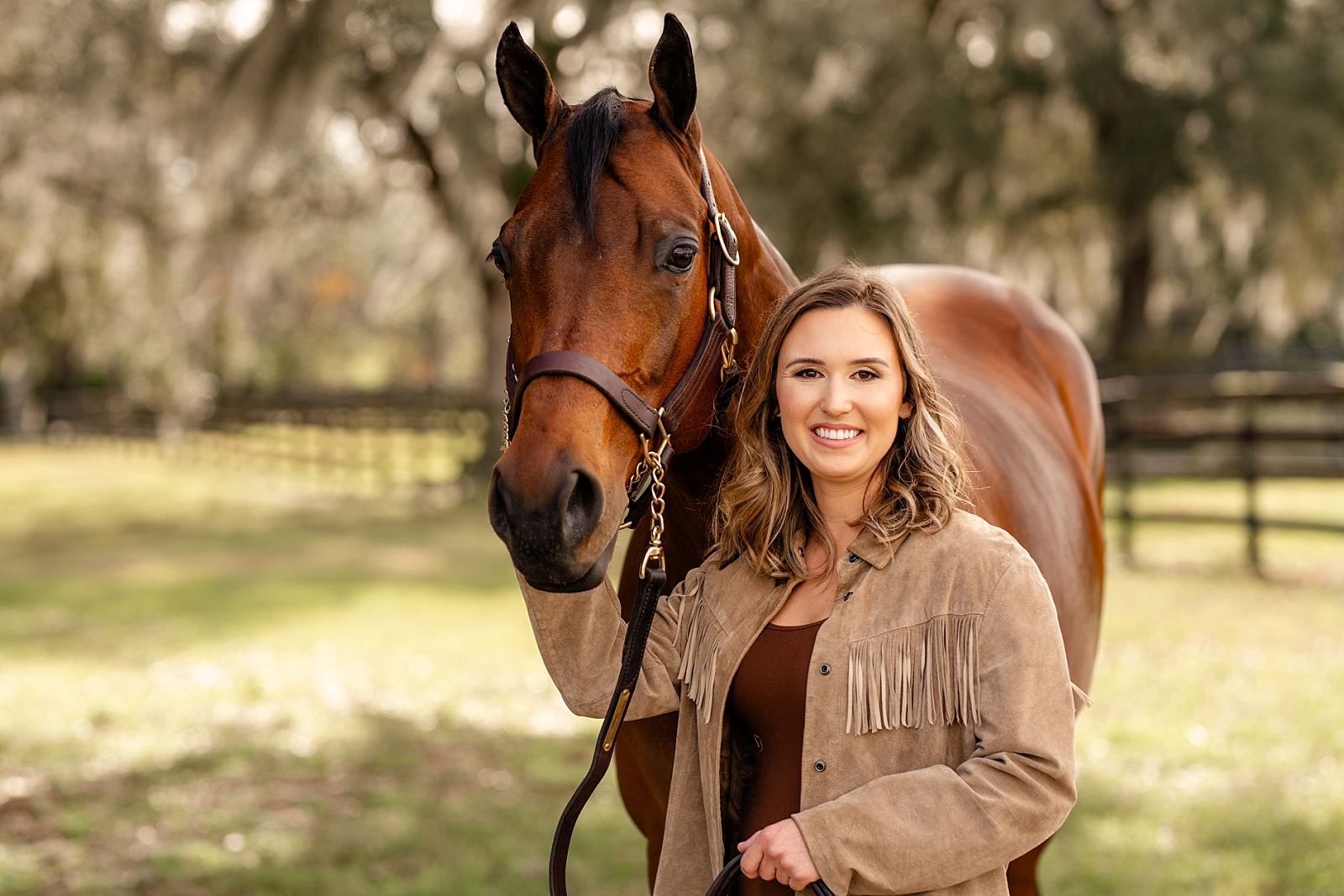 Equine Attorney at Law. Horse lawyer. Equestrian business branding.