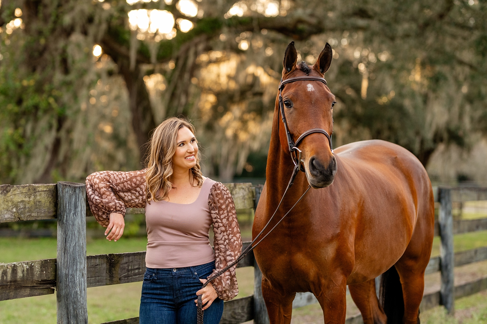 Equine Attorney at Law. Horse lawyer. Equestrian business branding.