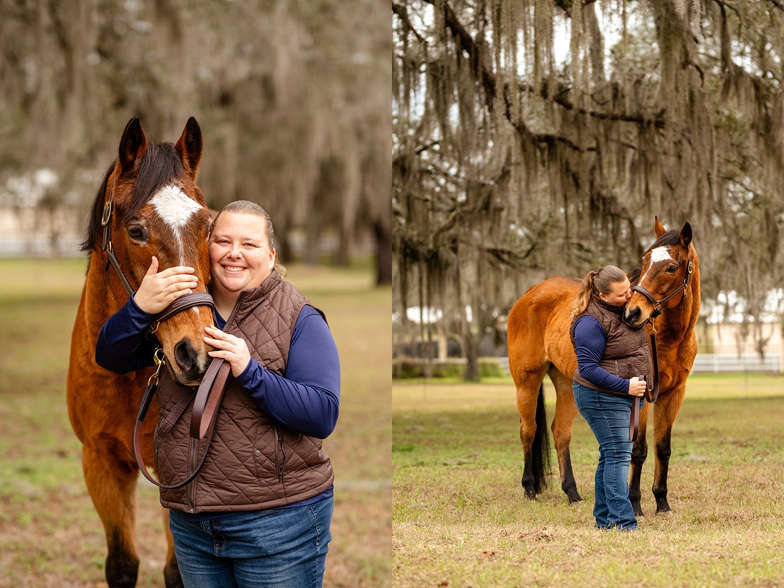 Horse photographer in Ocala, Florida. Oak trees. Retired horse.