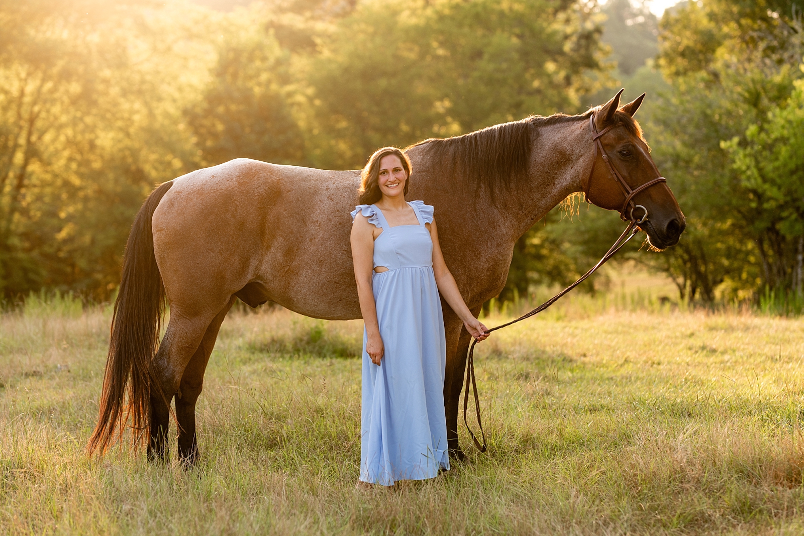 Alabama horse portrait photographer takes photos at sunset of woman with her heart horse. Quarter Horse Gelding.