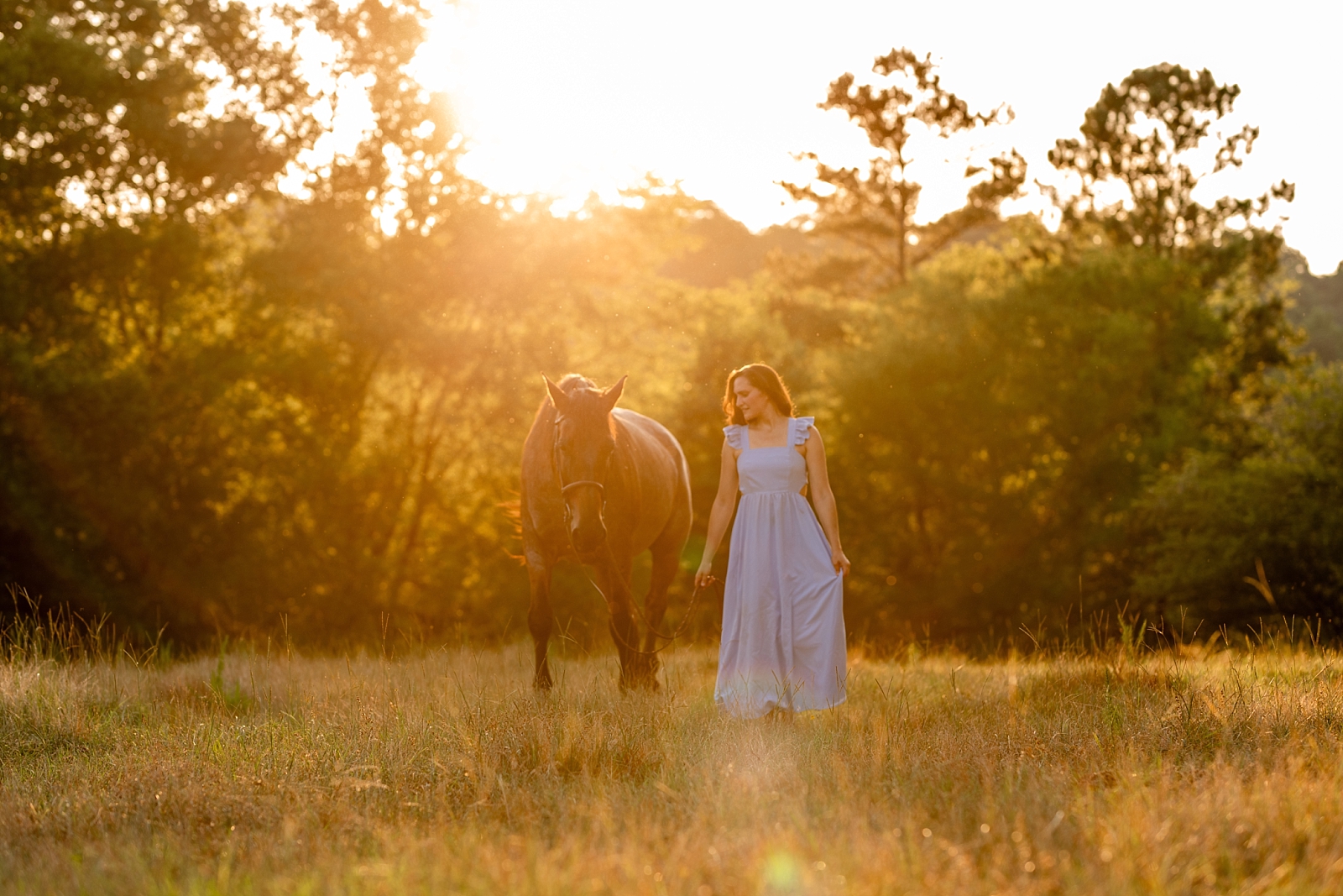 Alabama horse portrait photographer takes photos at sunset of woman with her heart horse. Quarter Horse Gelding.