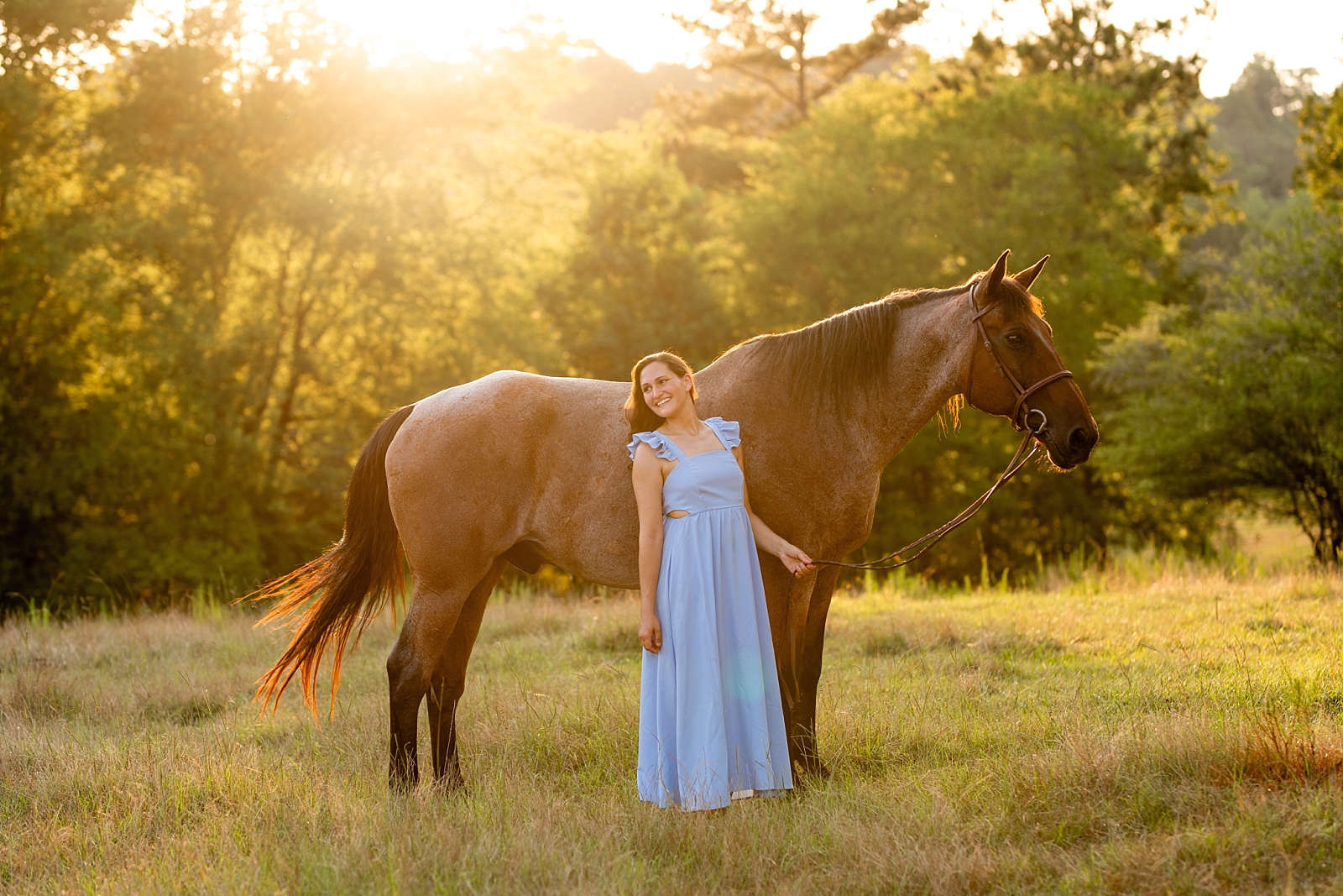 Alabama horse portrait photographer takes photos at sunset of woman with her heart horse. Quarter Horse Gelding.