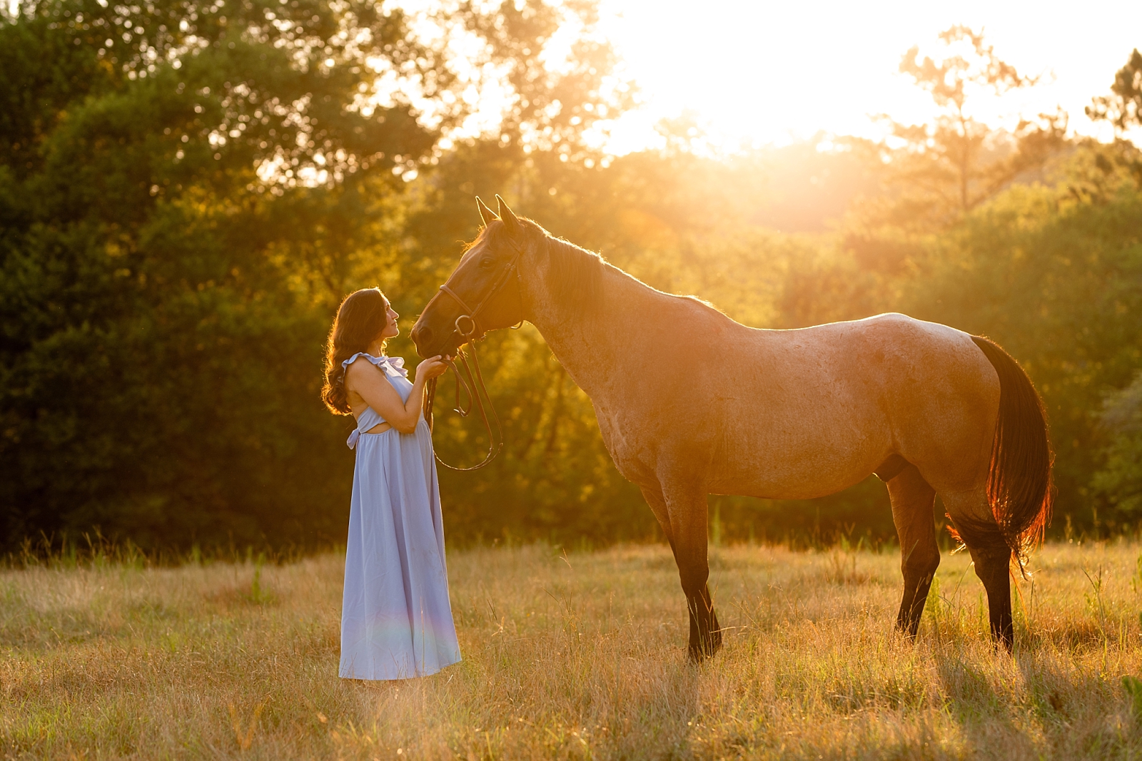 Alabama horse portrait photographer takes photos at sunset of woman with her heart horse. Quarter Horse Gelding.