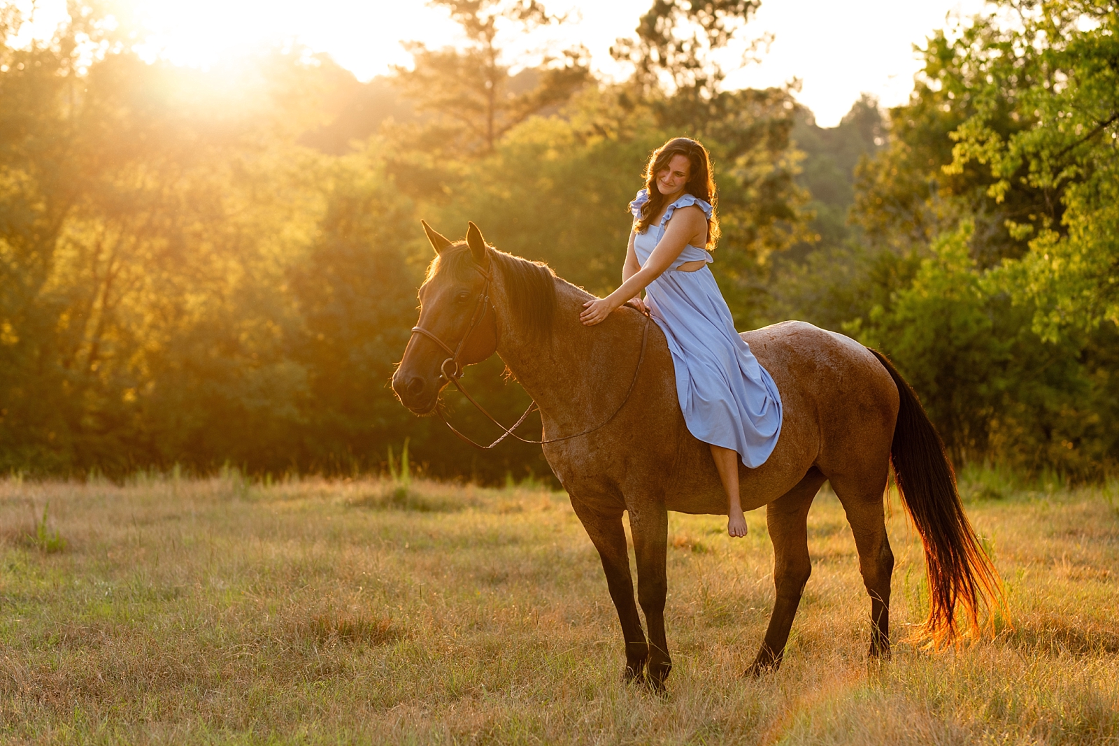 Alabama horse portrait photographer takes photos at sunset of woman with her heart horse. Quarter Horse Gelding.