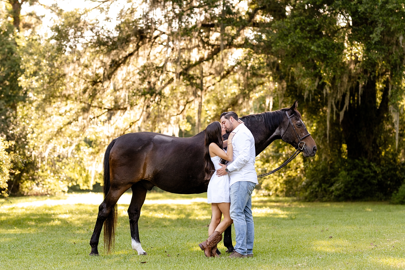 Photos of girl and her horse at Cavallo Farms in Tallahassee, FL. Beautiful oak trees. Posing ideas for girl in white dress with her horse. Engagement photos with your horse.