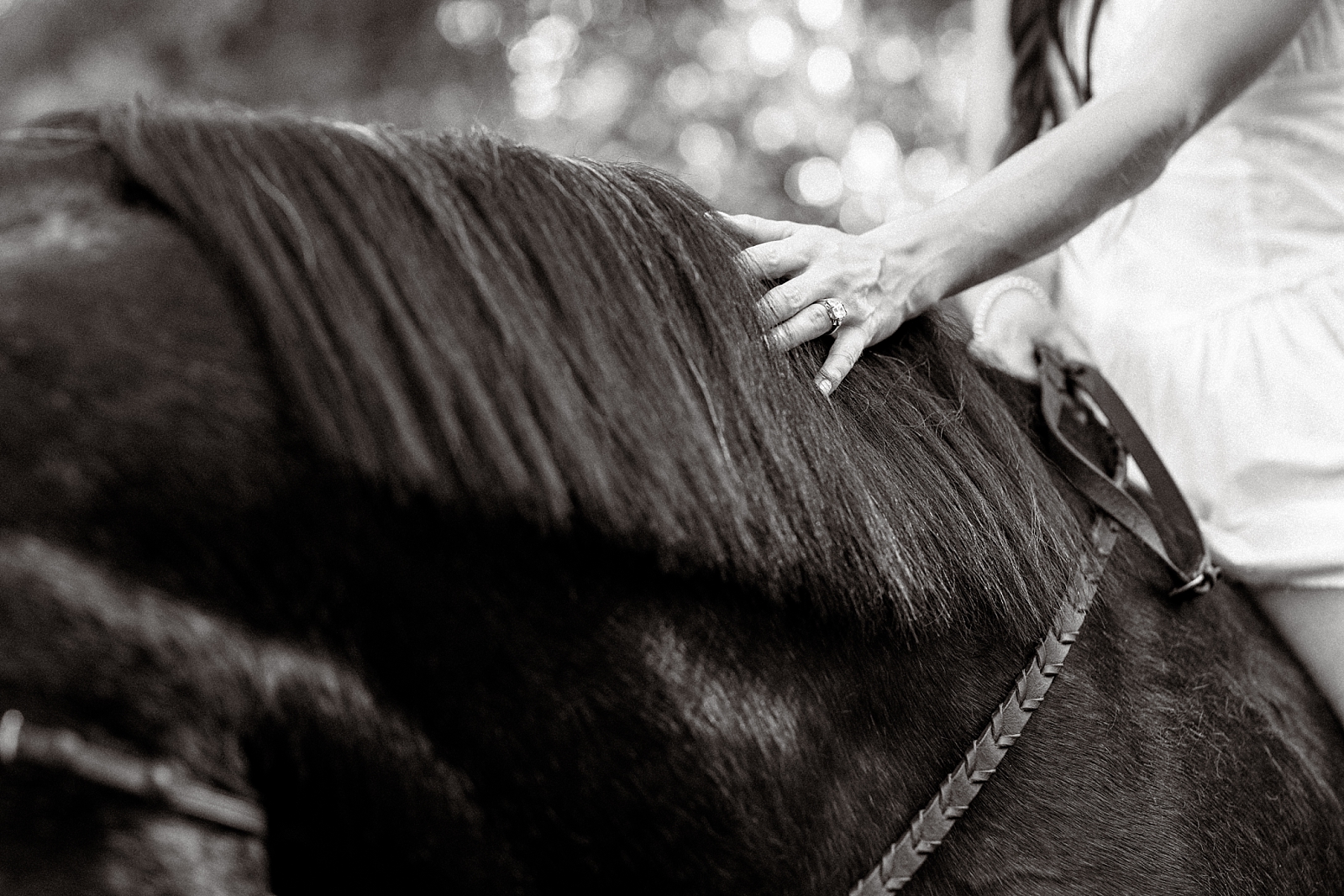 Photos of girl and her horse at Cavallo Farms in Tallahassee, FL. Beautiful oak trees. Posing ideas for girl in riding breeches with her horse.