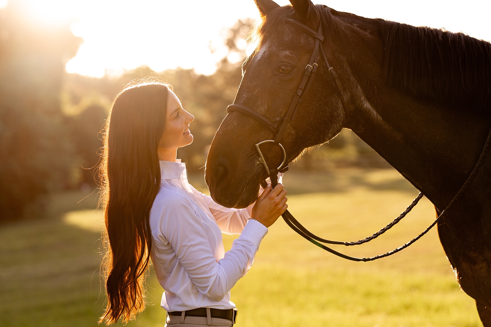 Photos of girl and her horse at Cavallo Farms in Tallahassee, FL. Beautiful oak trees. Posing ideas for girl in riding breeches with her horse.