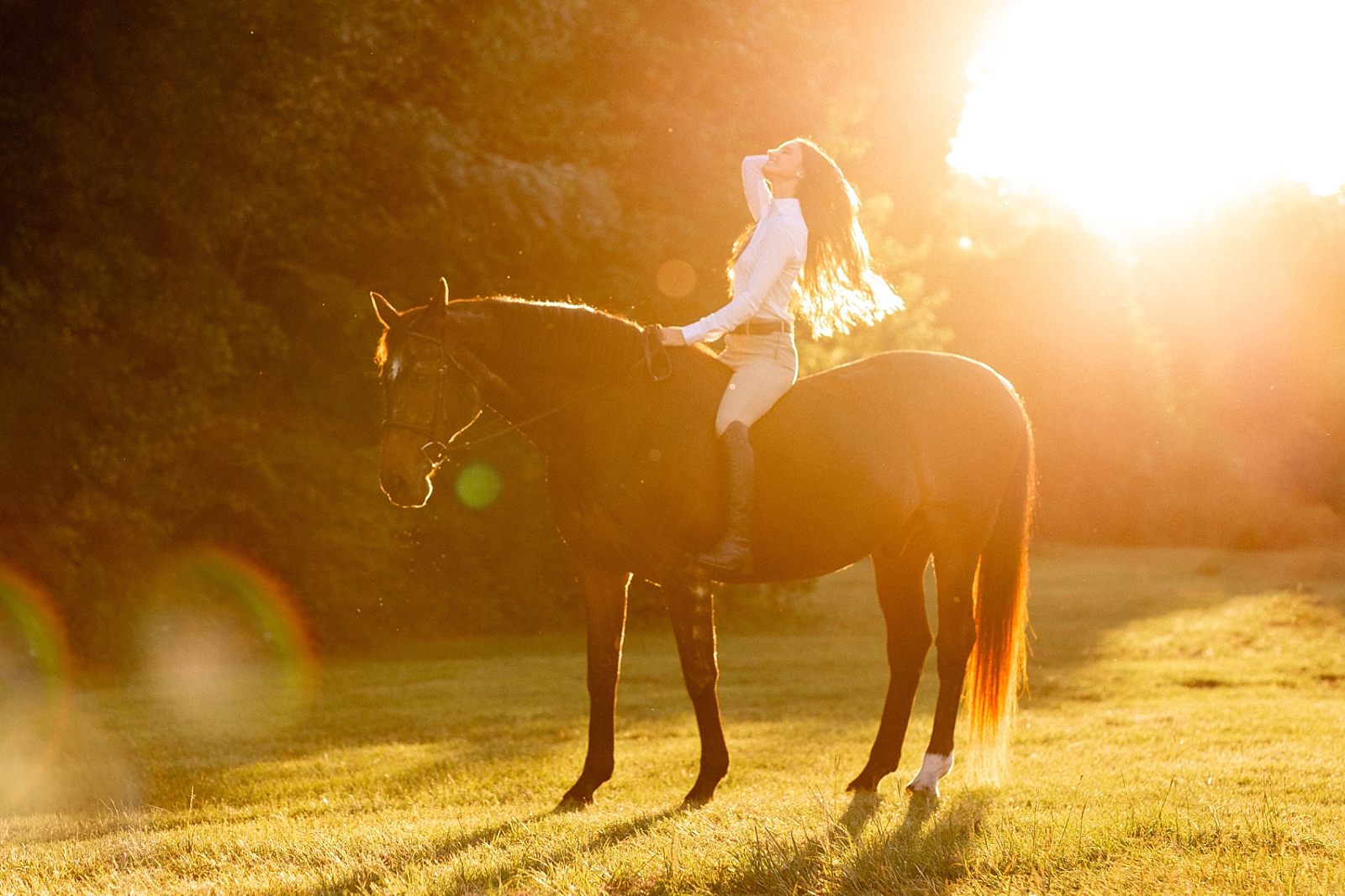 Photos of girl and her horse at Cavallo Farms in Tallahassee, FL. Beautiful oak trees. Posing ideas for girl in riding breeches with her horse.