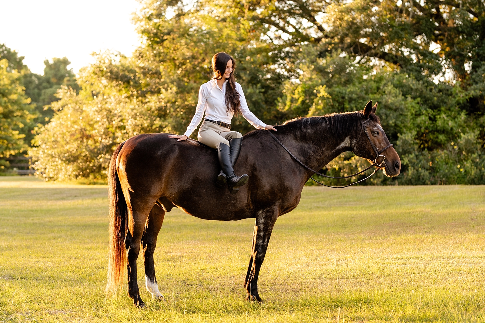 Photos of girl and her horse at Cavallo Farms in Tallahassee, FL. Beautiful oak trees. Posing ideas for girl in riding breeches with her horse.