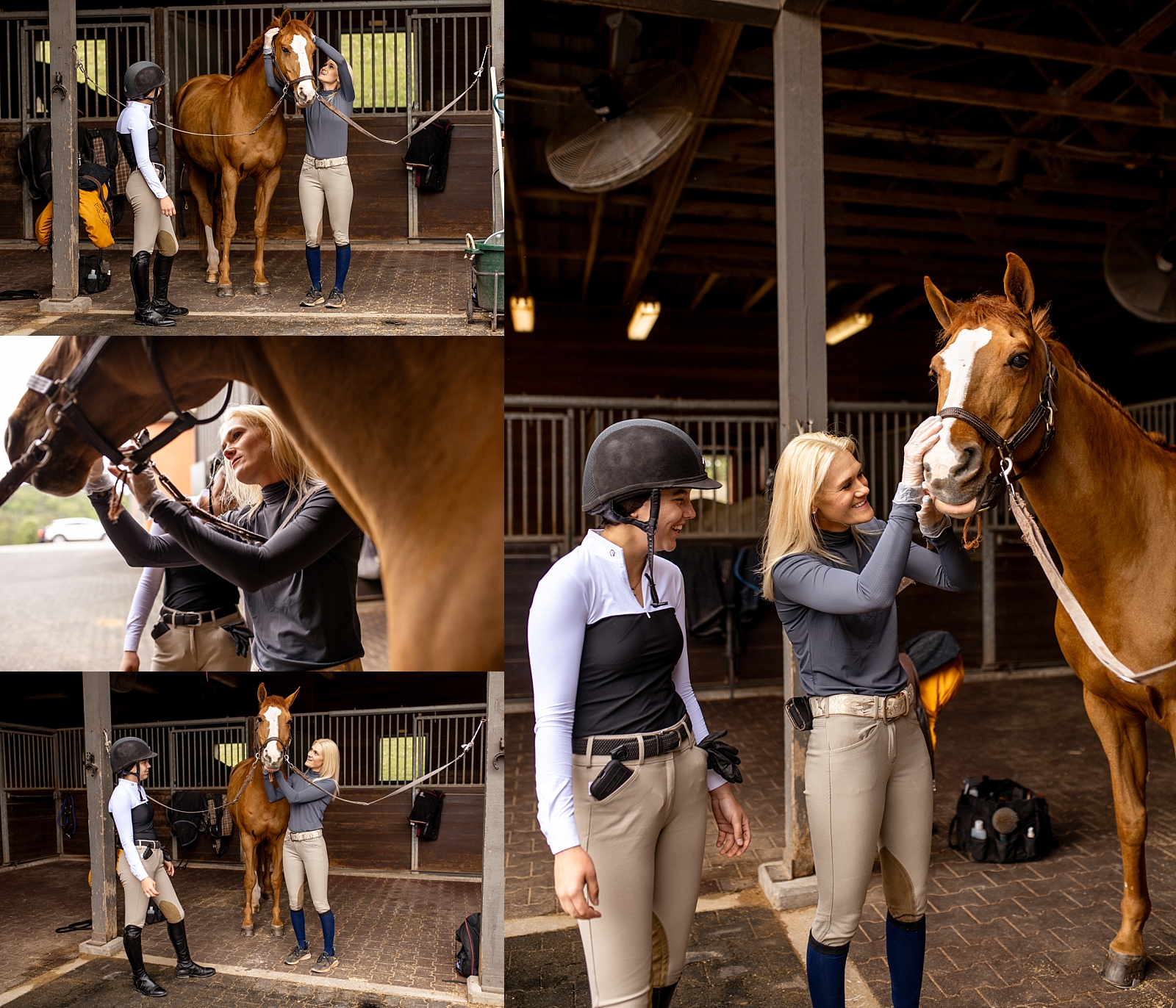 A Bit Above Equine is a bridle and bit fitting business based in the southeast. Branding photos for equestrians to create enticing social media posts.