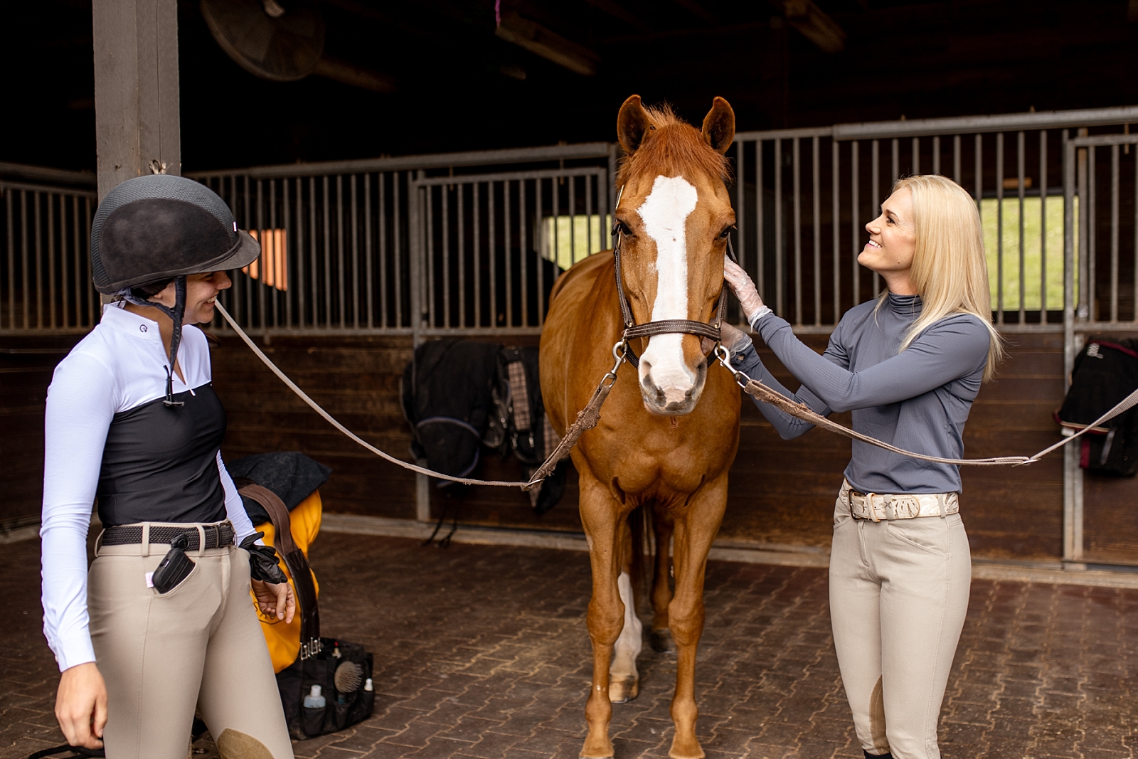 A Bit Above Equine is a bridle and bit fitting business based in the southeast. Branding photos for equestrians to create enticing social media posts.