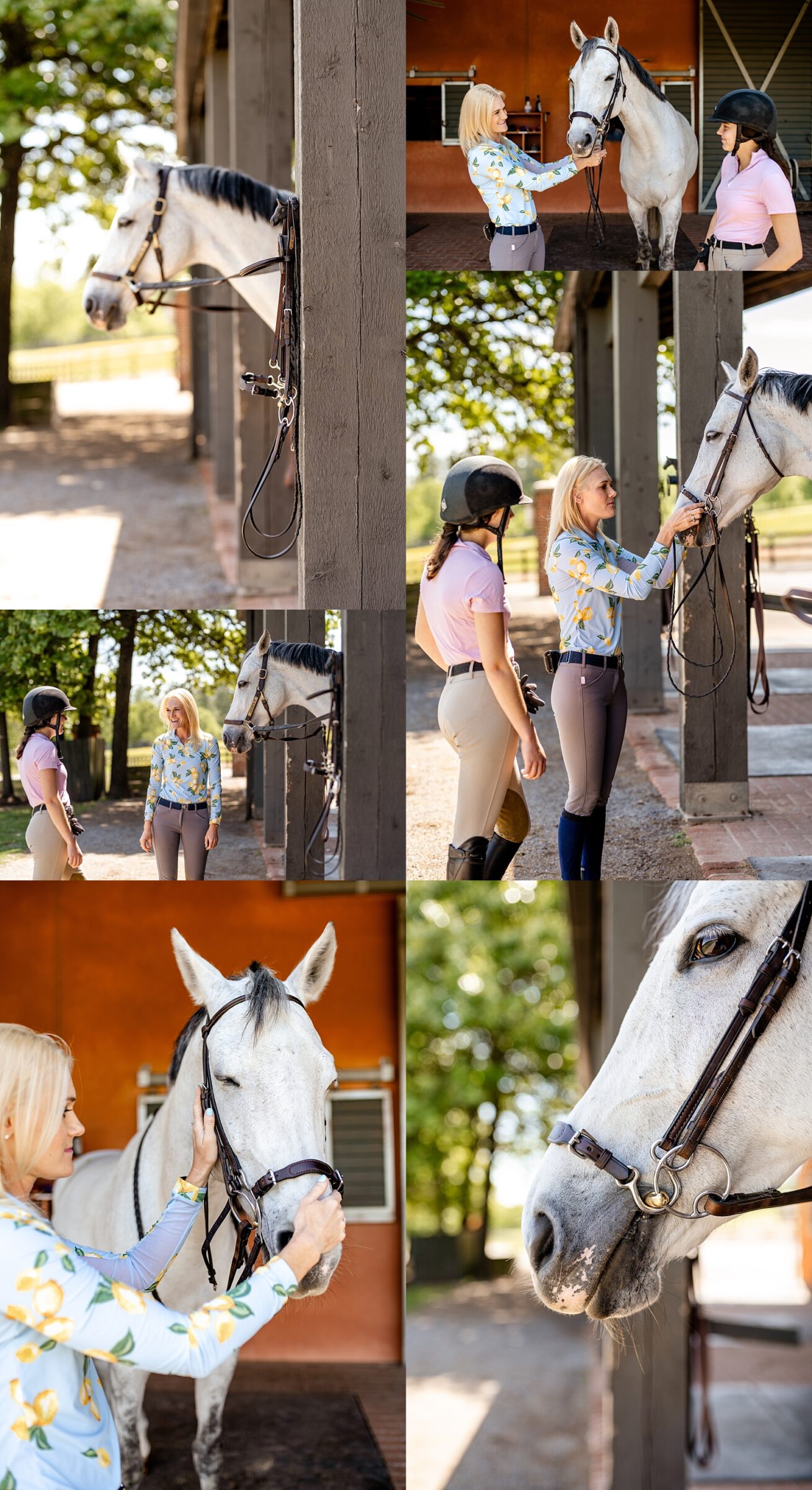 A Bit Above Equine is a bridle and bit fitting business based in the southeast. Branding photos for equestrians to create enticing social media posts.