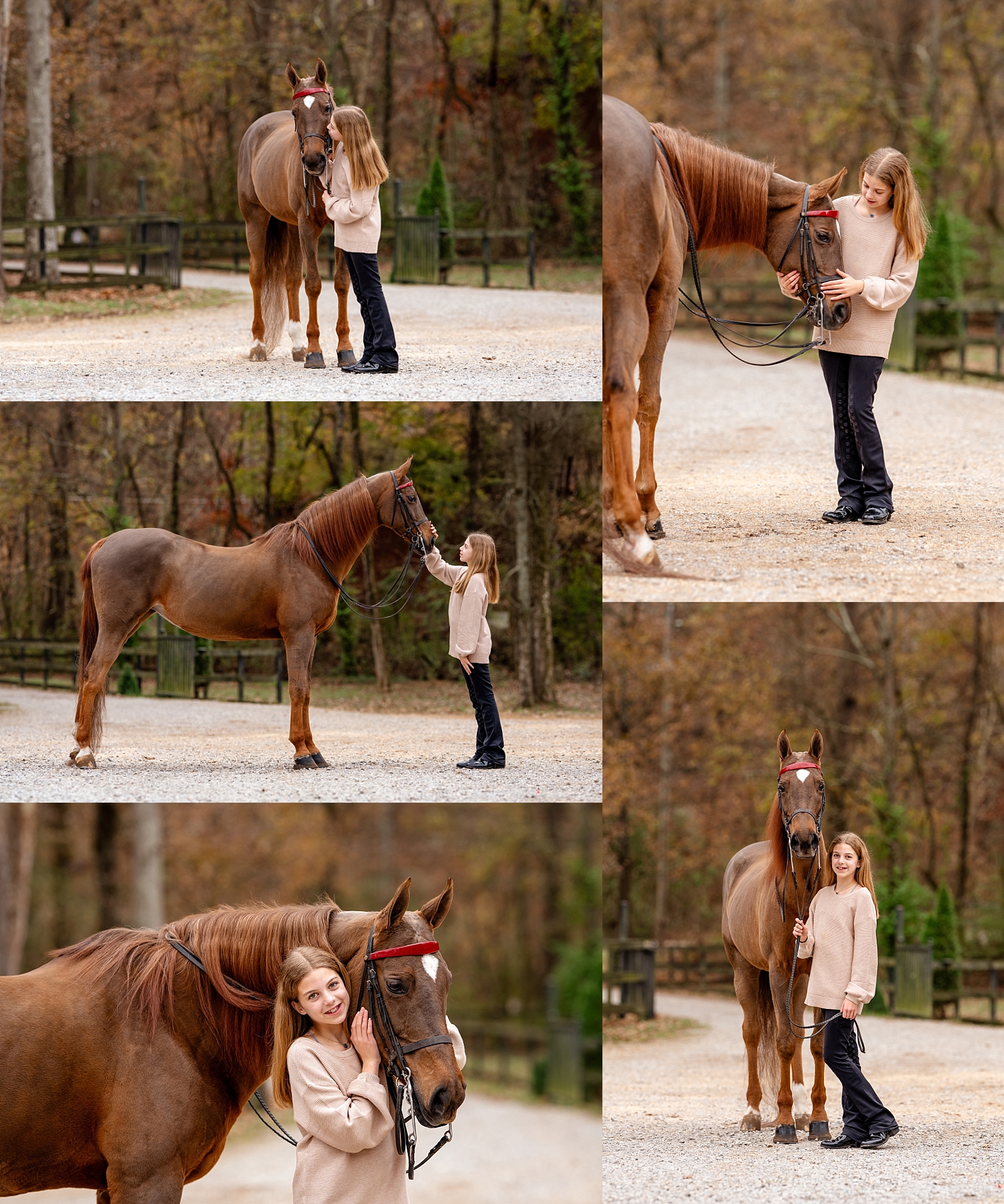 First Horse Portrait Session | Young Equestrian and Saddlebred