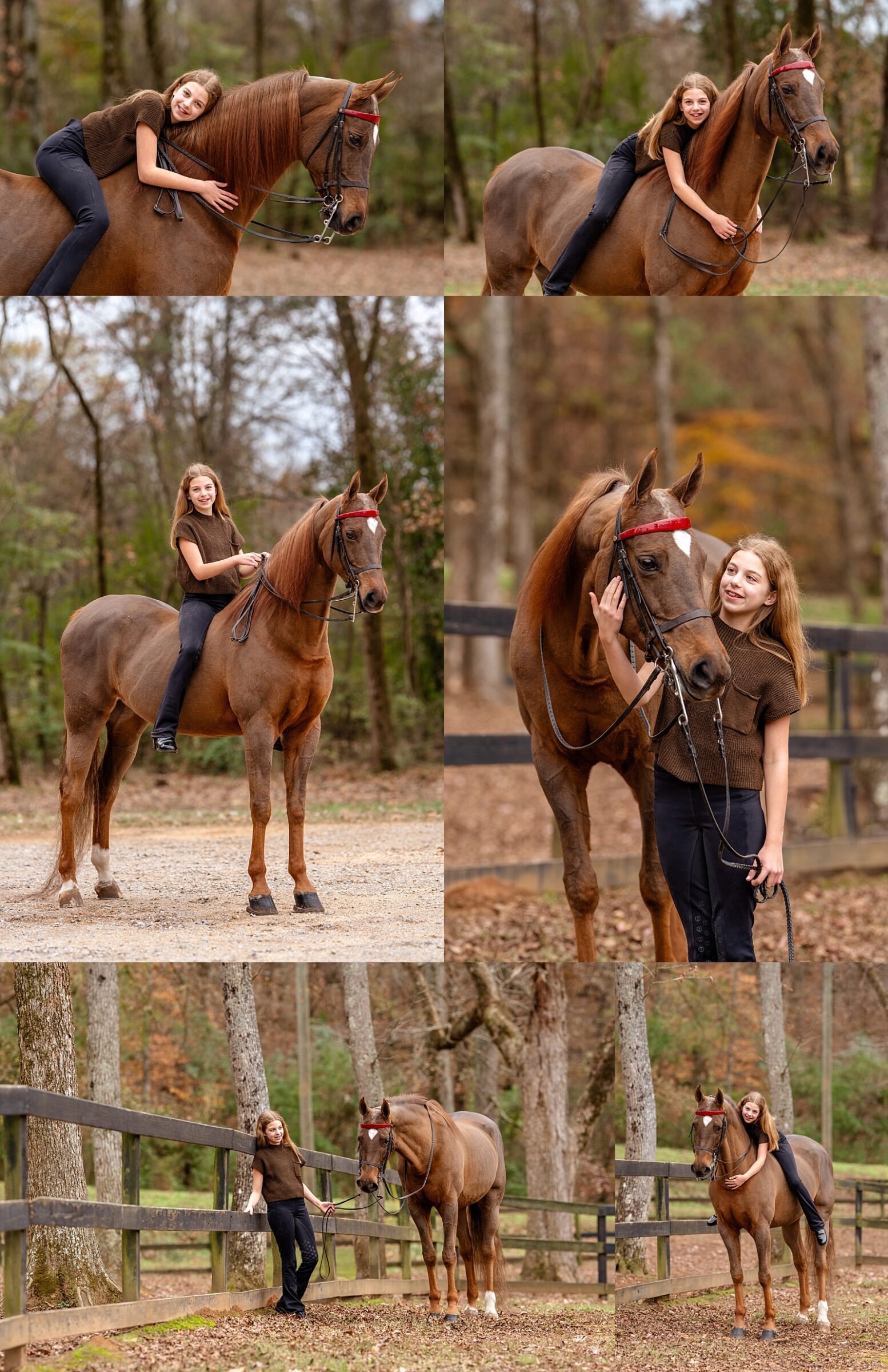 Madelyn riding or posing with her Saddlebred horse Clarice during a youth equestrian portrait session.