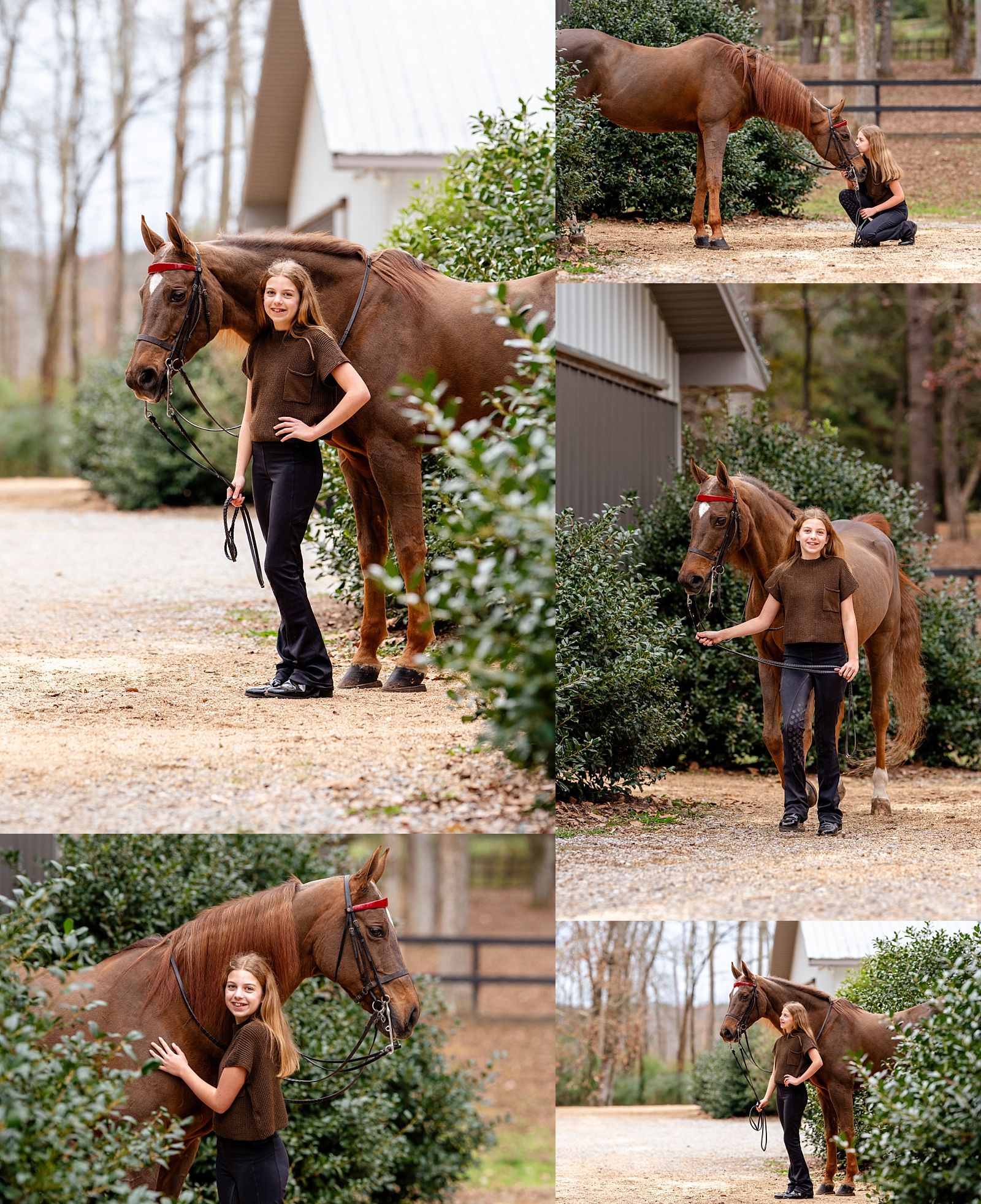 Madelyn riding or posing with her Saddlebred horse Clarice during a youth equestrian portrait session.