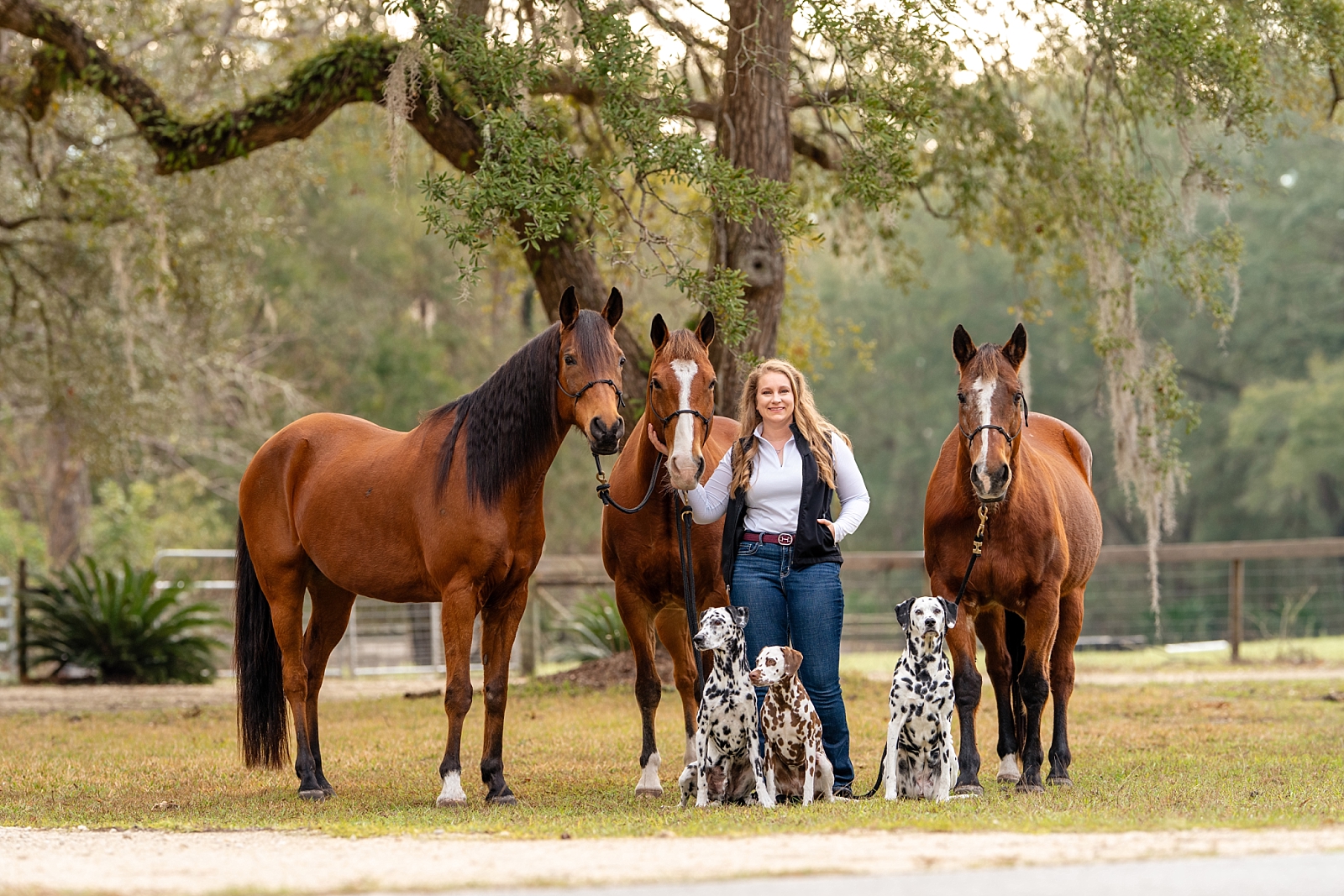 Group portrait of three horses and three Dalmatian dogs with their owner, Beth, during a horse and dog photography session in Ocala, Florida.