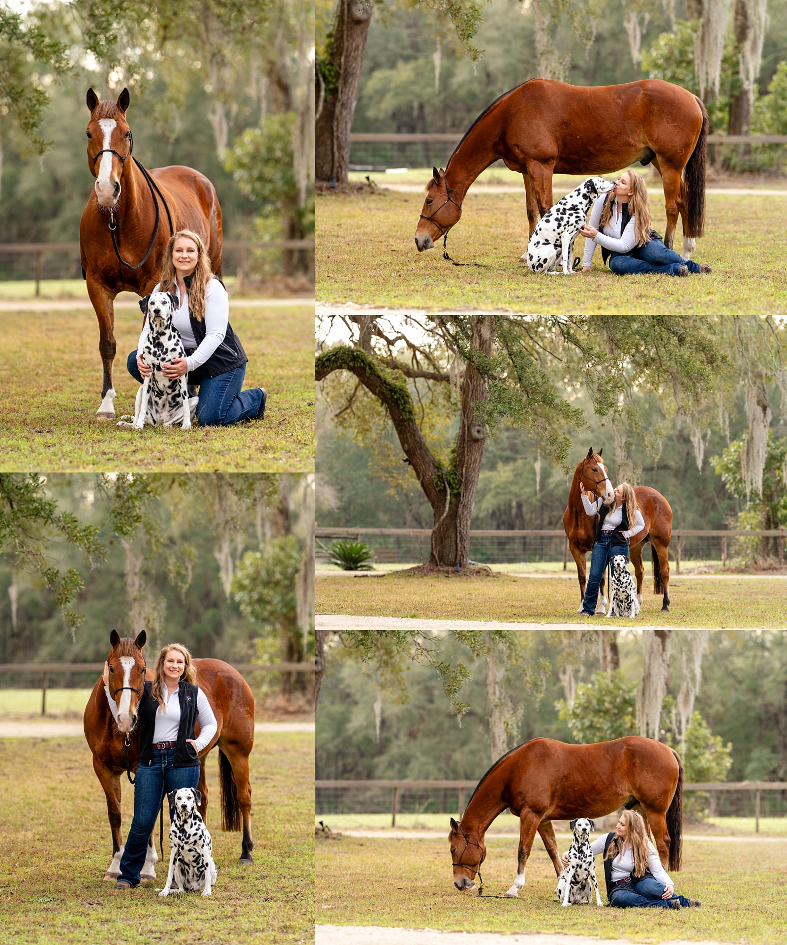 Beth with her well-rounded ranch and western dressage horse, Diesel, and her Dalmatian, Malibu.