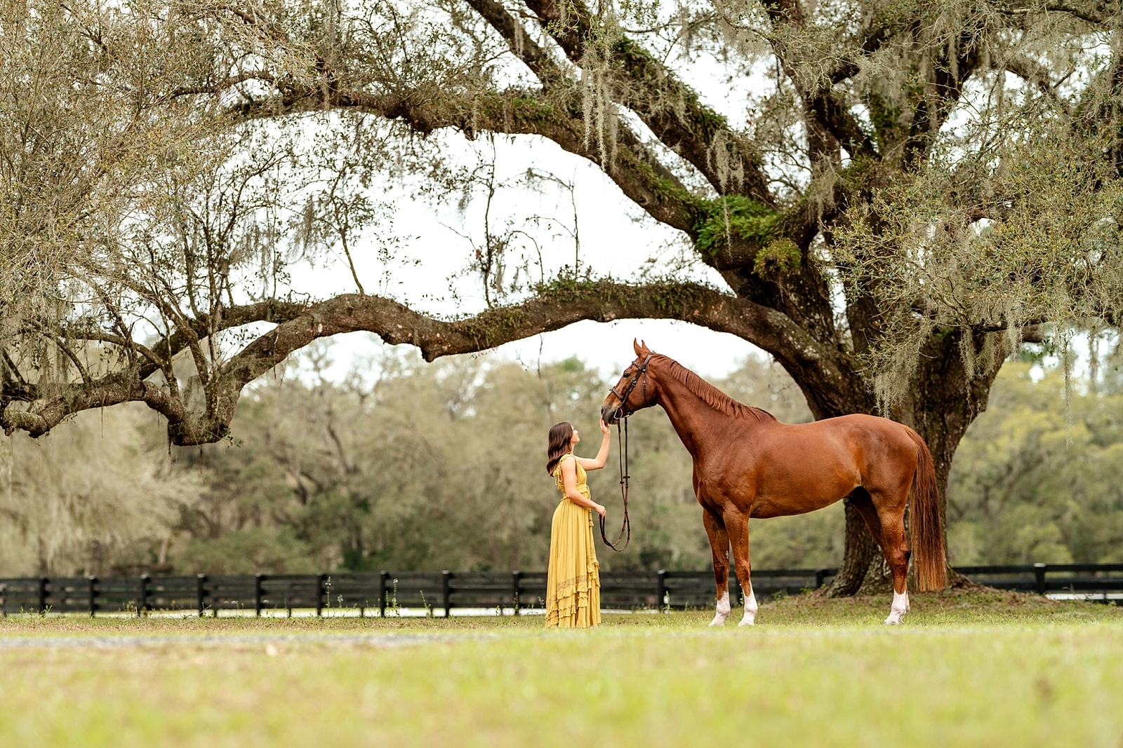 Noelle stands beside her horse Kistra during a golden hour equine photography session in Ocala, Florida