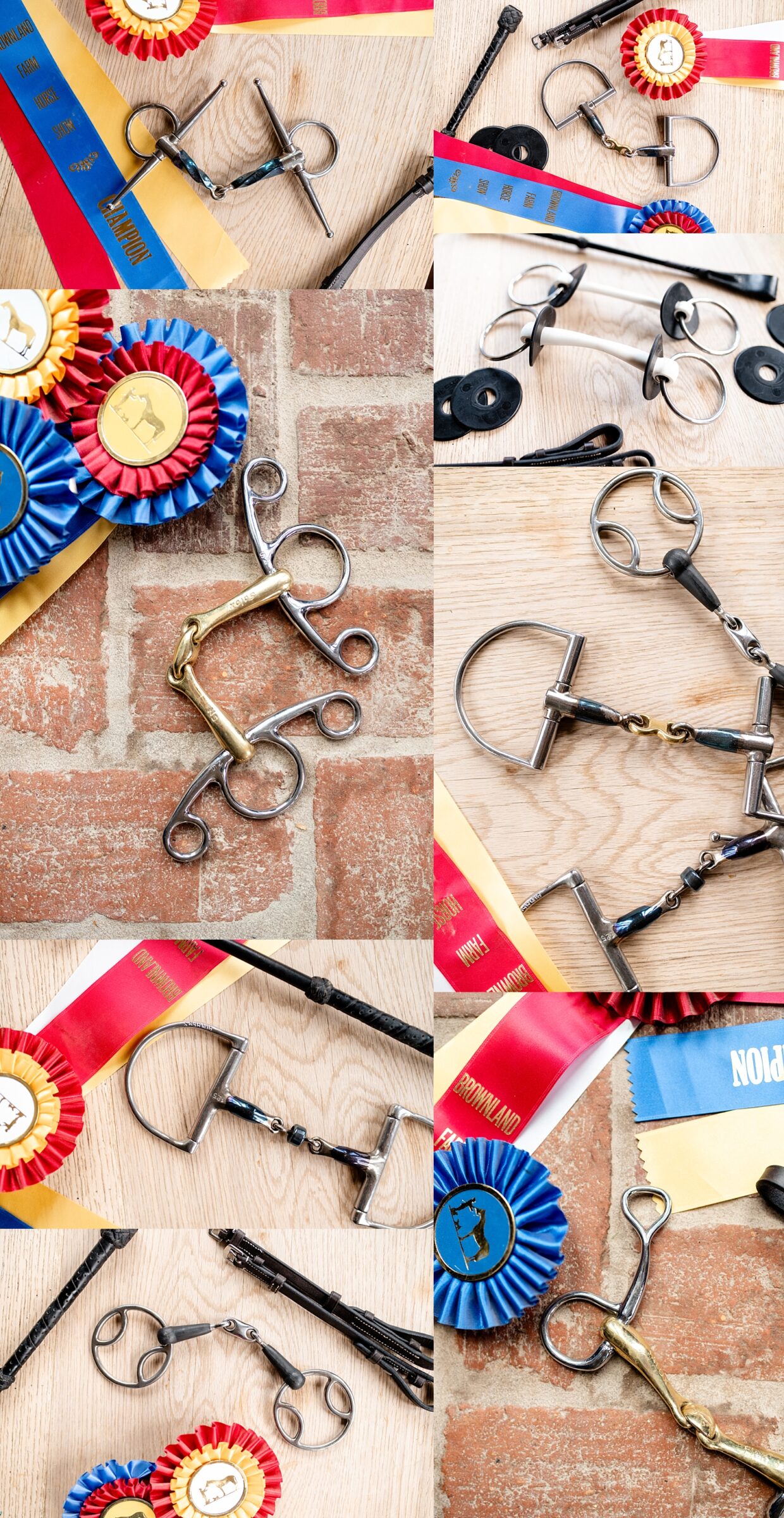Close-up of bit fitting equipment used by A Bit Above Equine during a branding photo session.